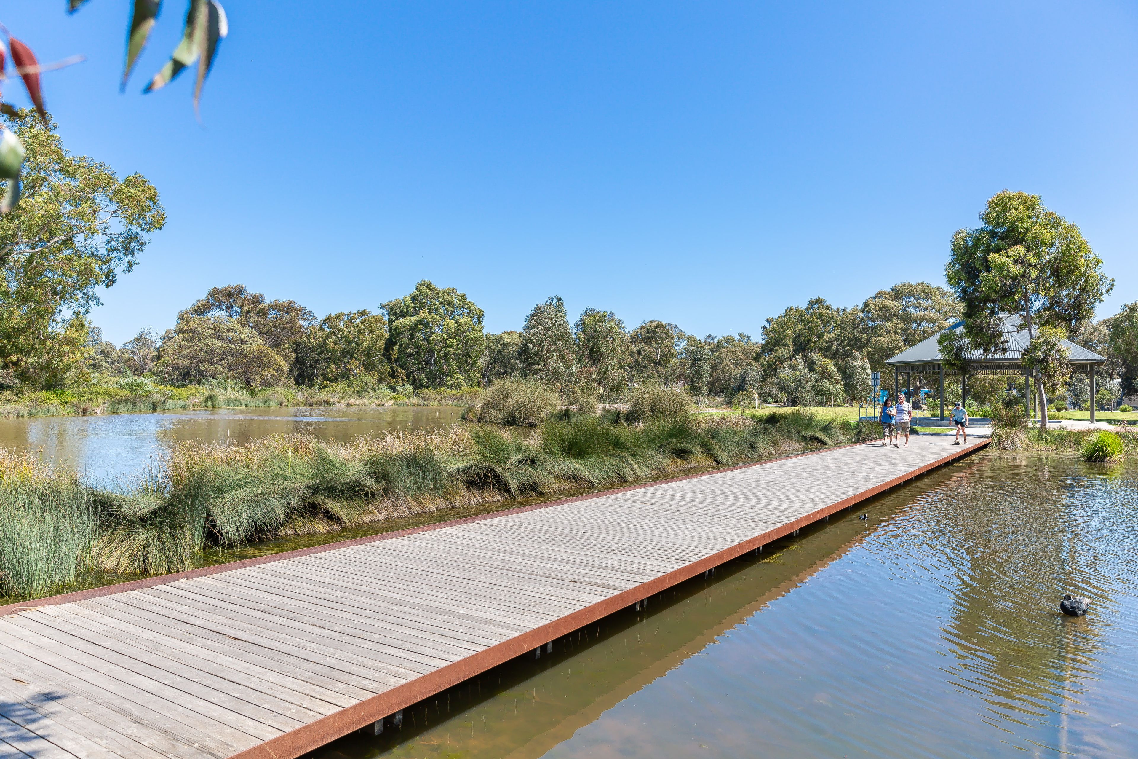 Lot 1 & 2, 6 Orkney Avenue, Marion, SA 5043
