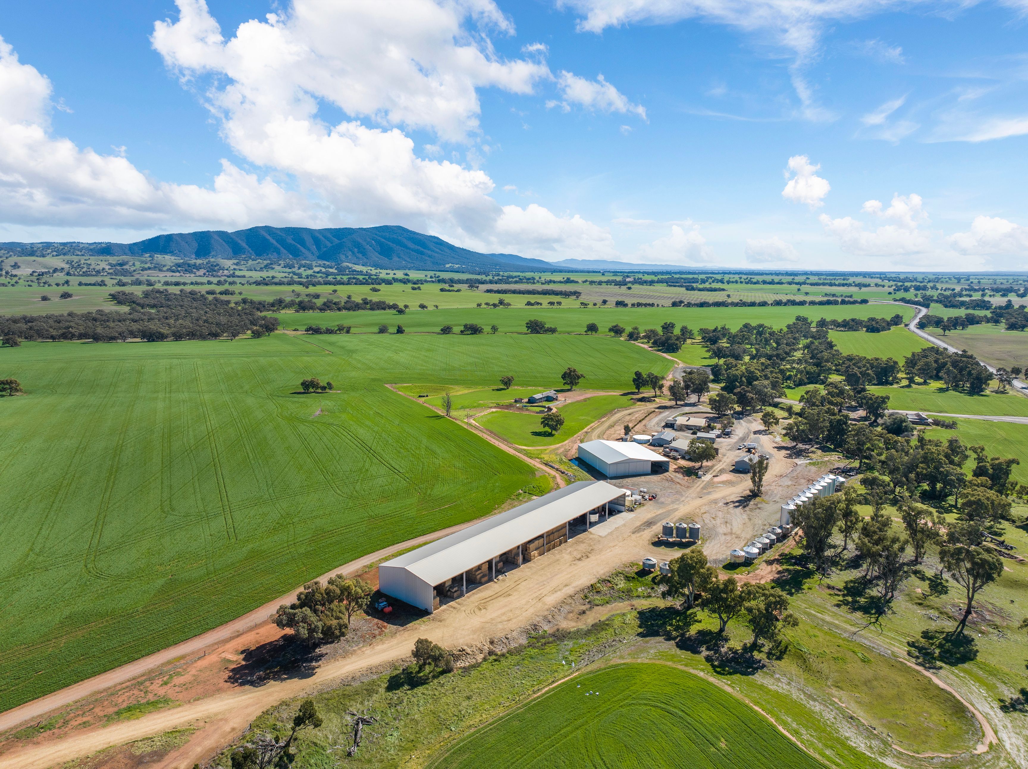 Ray White Rural South Australia