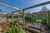 123 Maui Pomare Road photo 12