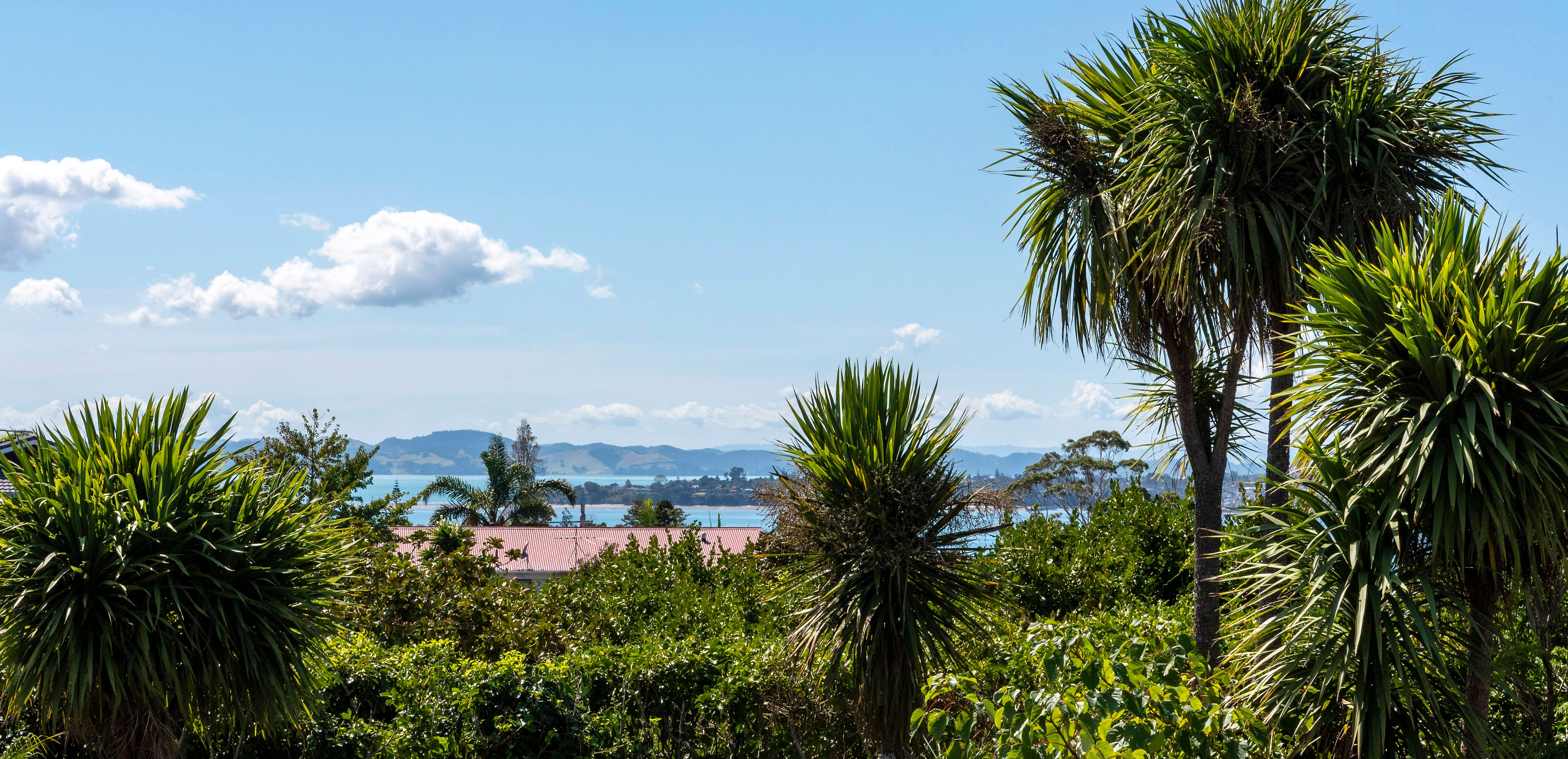 51 Litten Road, Cockle Bay, Manukau City