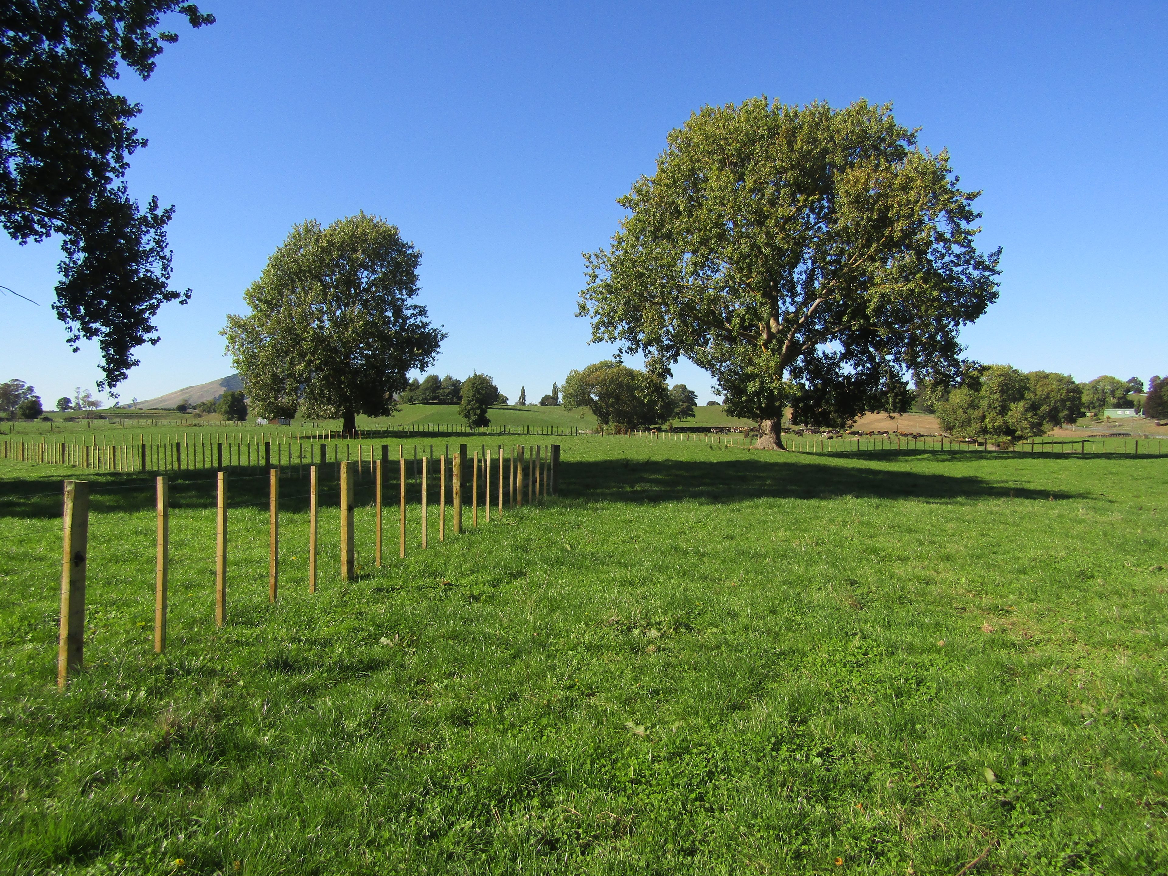 0 Te Kawa Road, Lot 3, Te Awamutu, Waipa District
