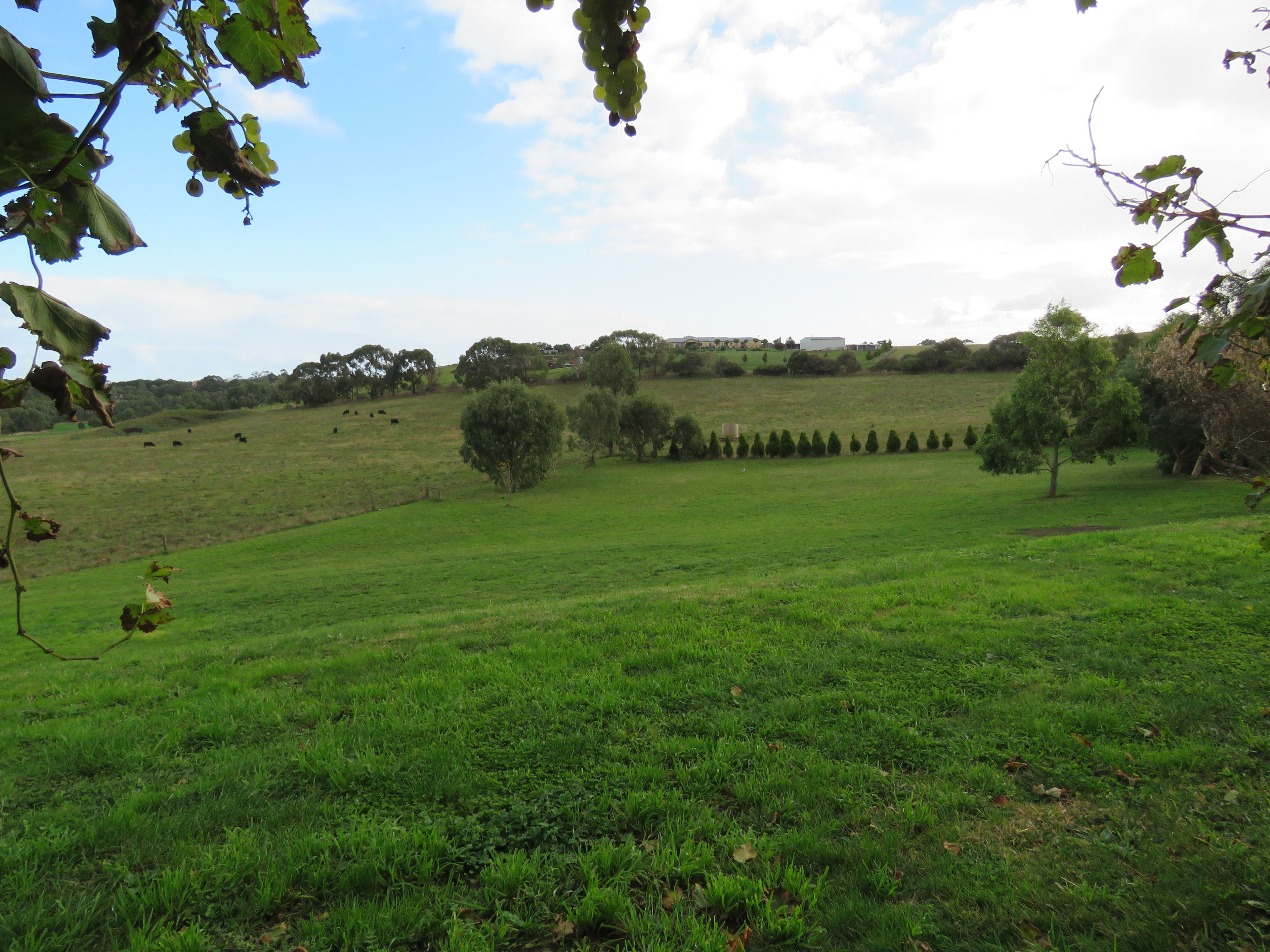 44 Merri View Woodford, Warrnambool, VIC 3280