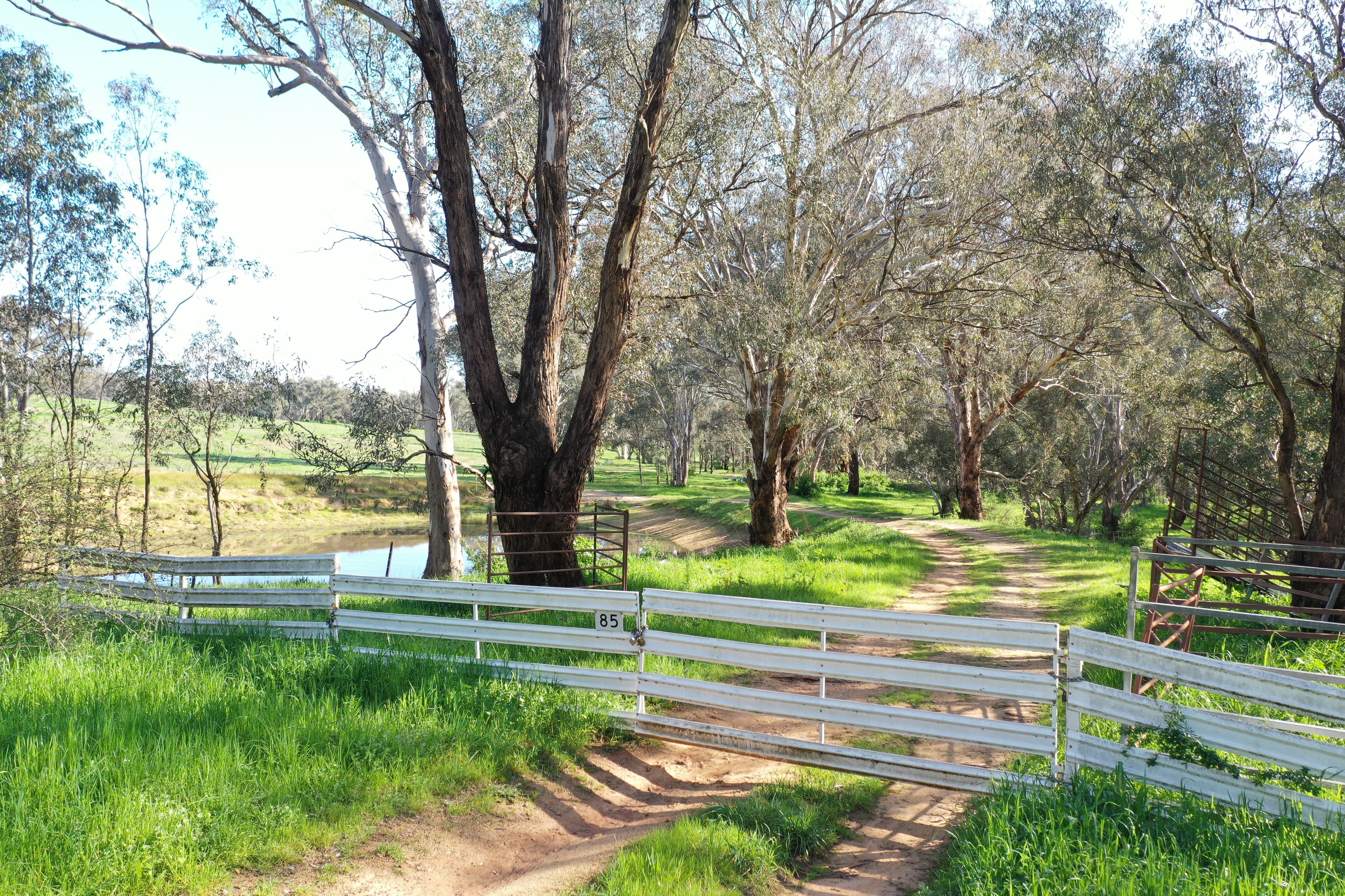 85 Thomsons Road, Young, NSW 2594