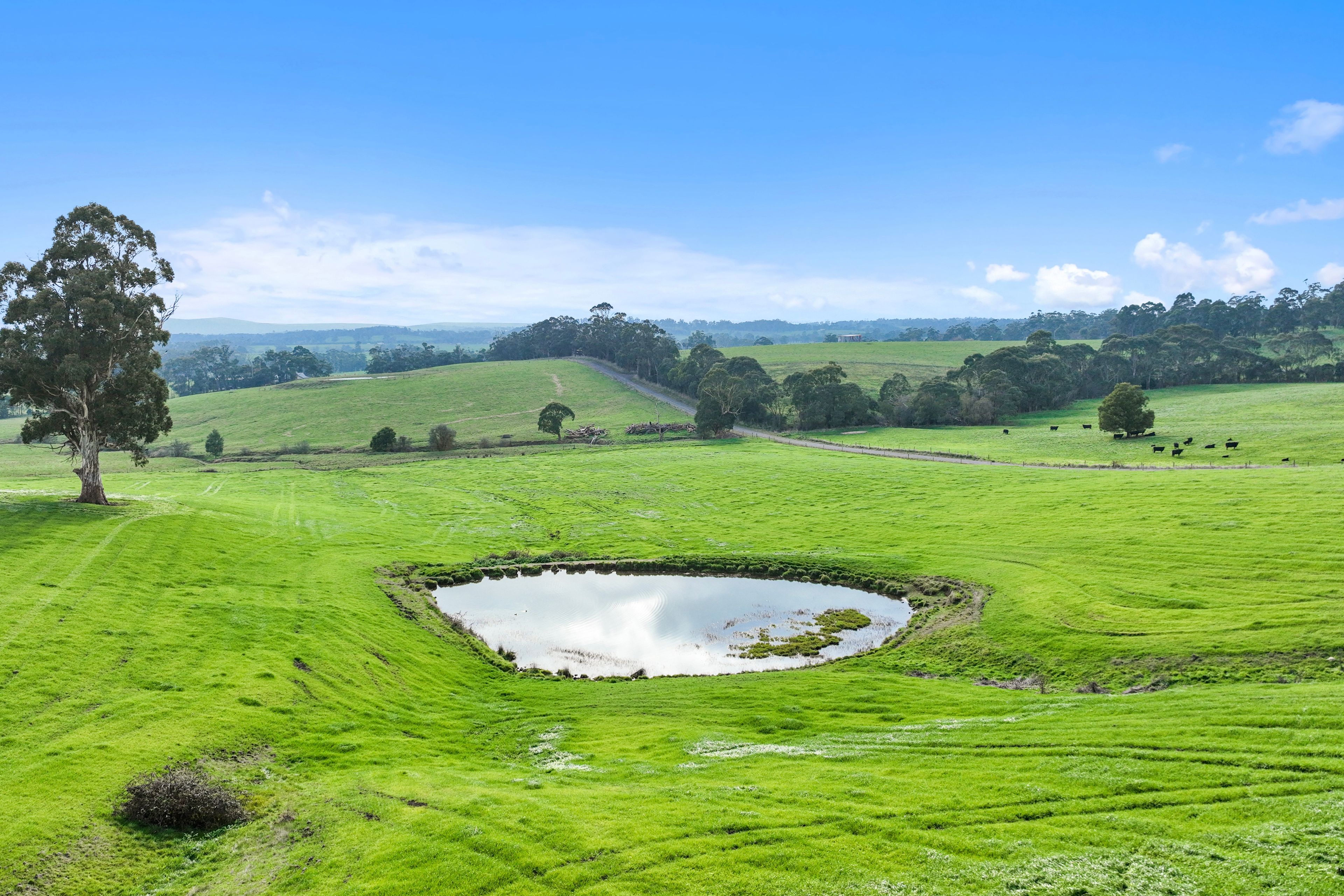 205 & 235 Sheehans Road, Hallora, VIC 3818