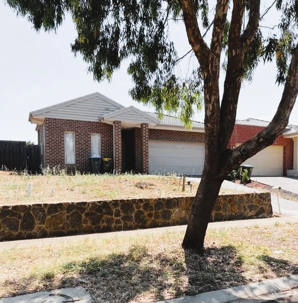 36 Starling Avenue, Tarneit, VIC 3029