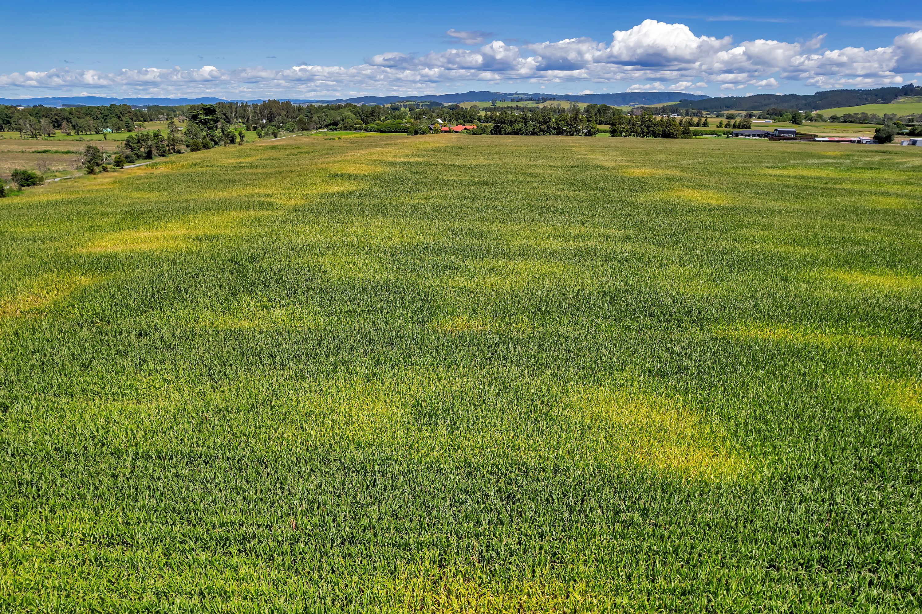 637 One Tree Point Road, Ruakaka, Whangarei District 0116 Commercial