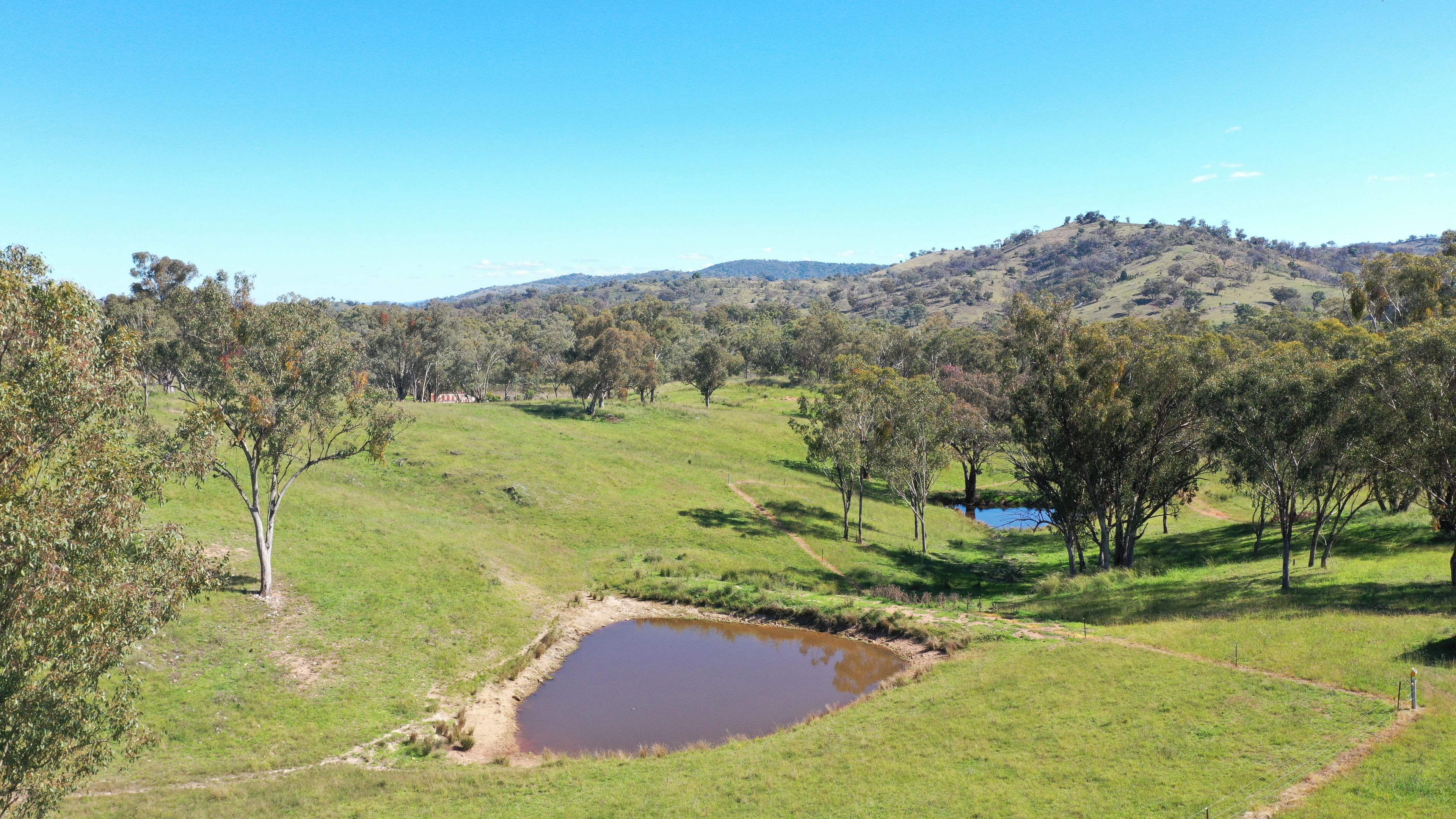 1058 Old Bundarra Road, Barraba, NSW 2347 Rural Property for Sale Ray White Tamworth