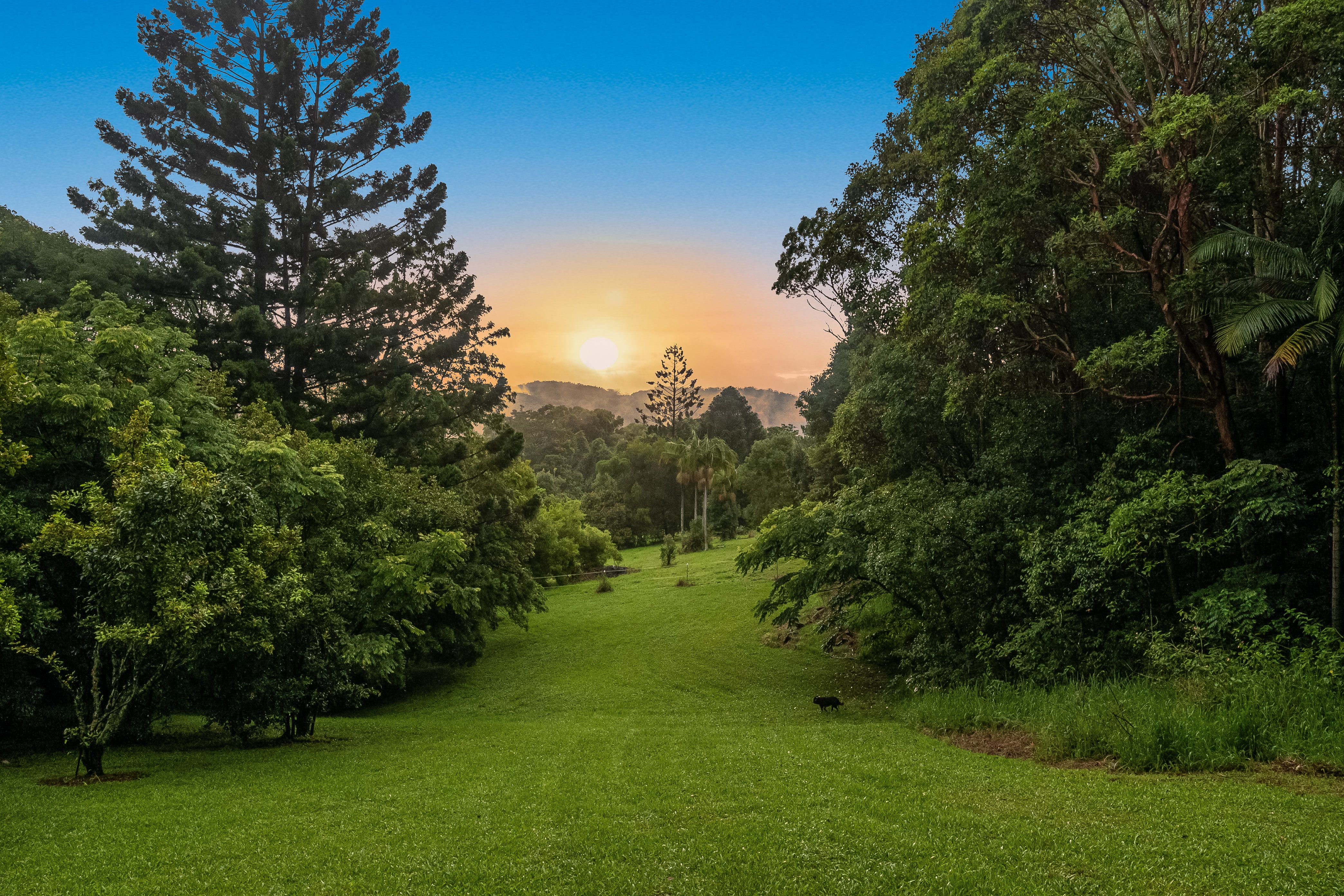 81 Koonyum Range Road, Wilsons Creek NSW 2482
