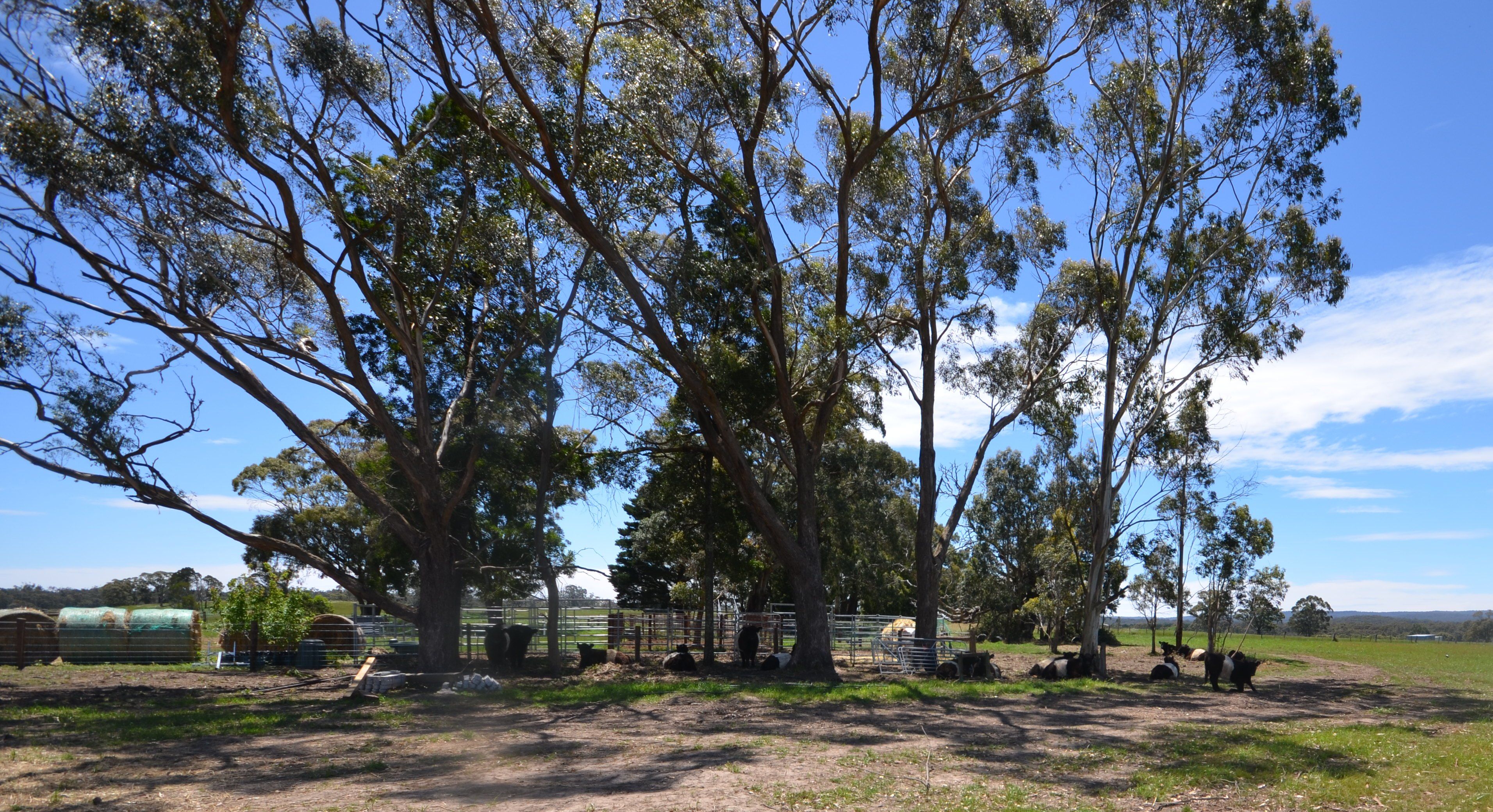 CA 1 & 6 Developmental Road, Bolwarrah, VIC 3352