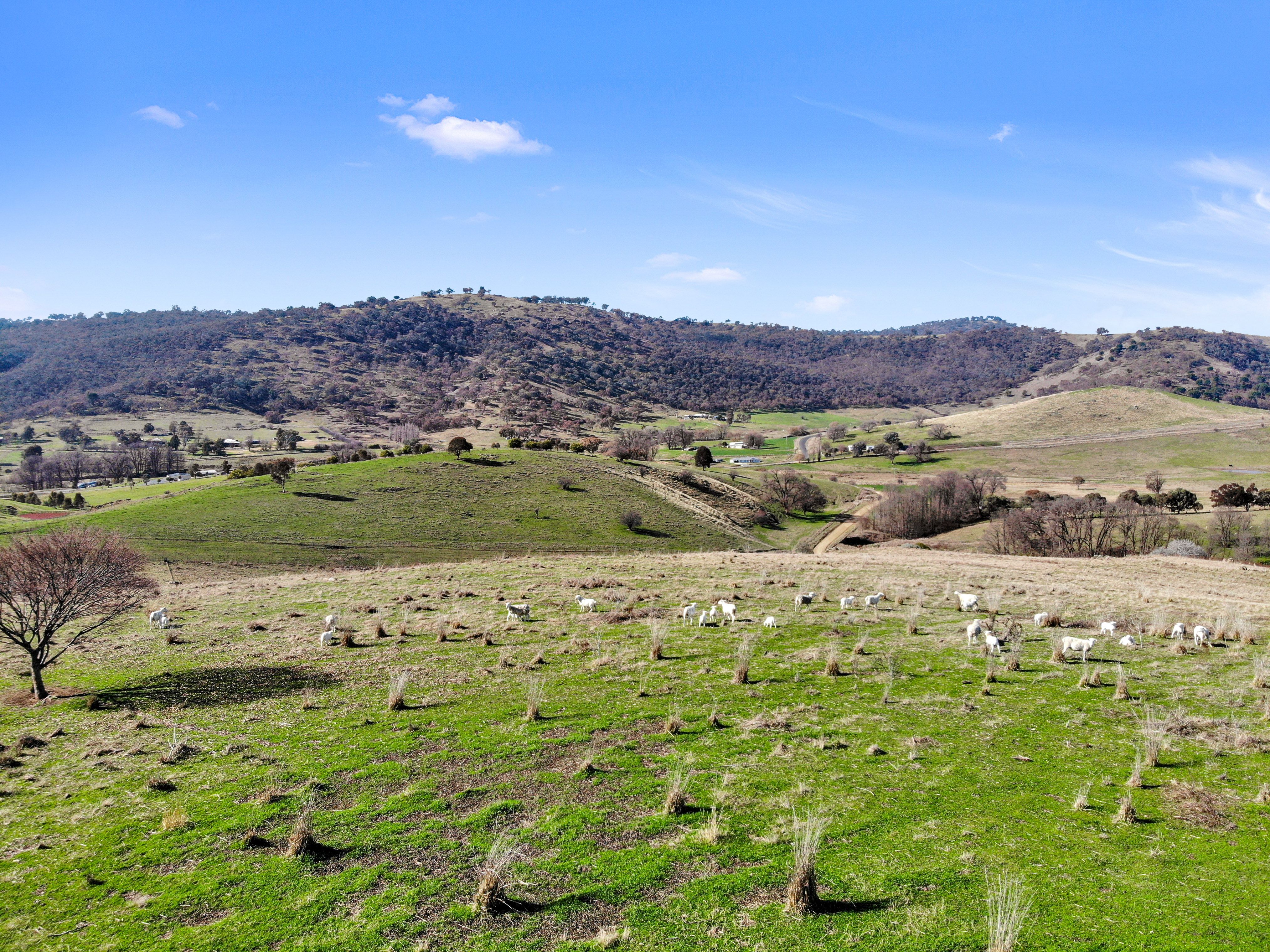 Lot 514 Back Sandy Gully Road, Adelong, NSW 2729