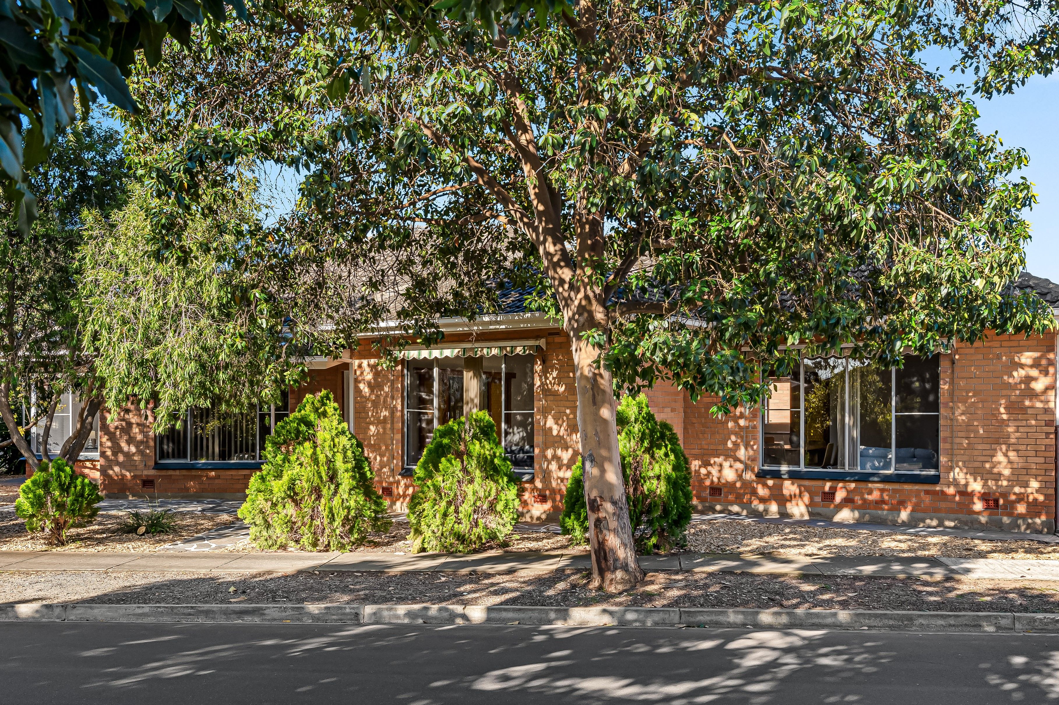 17 Janet Avenue, Glynde SA 5070