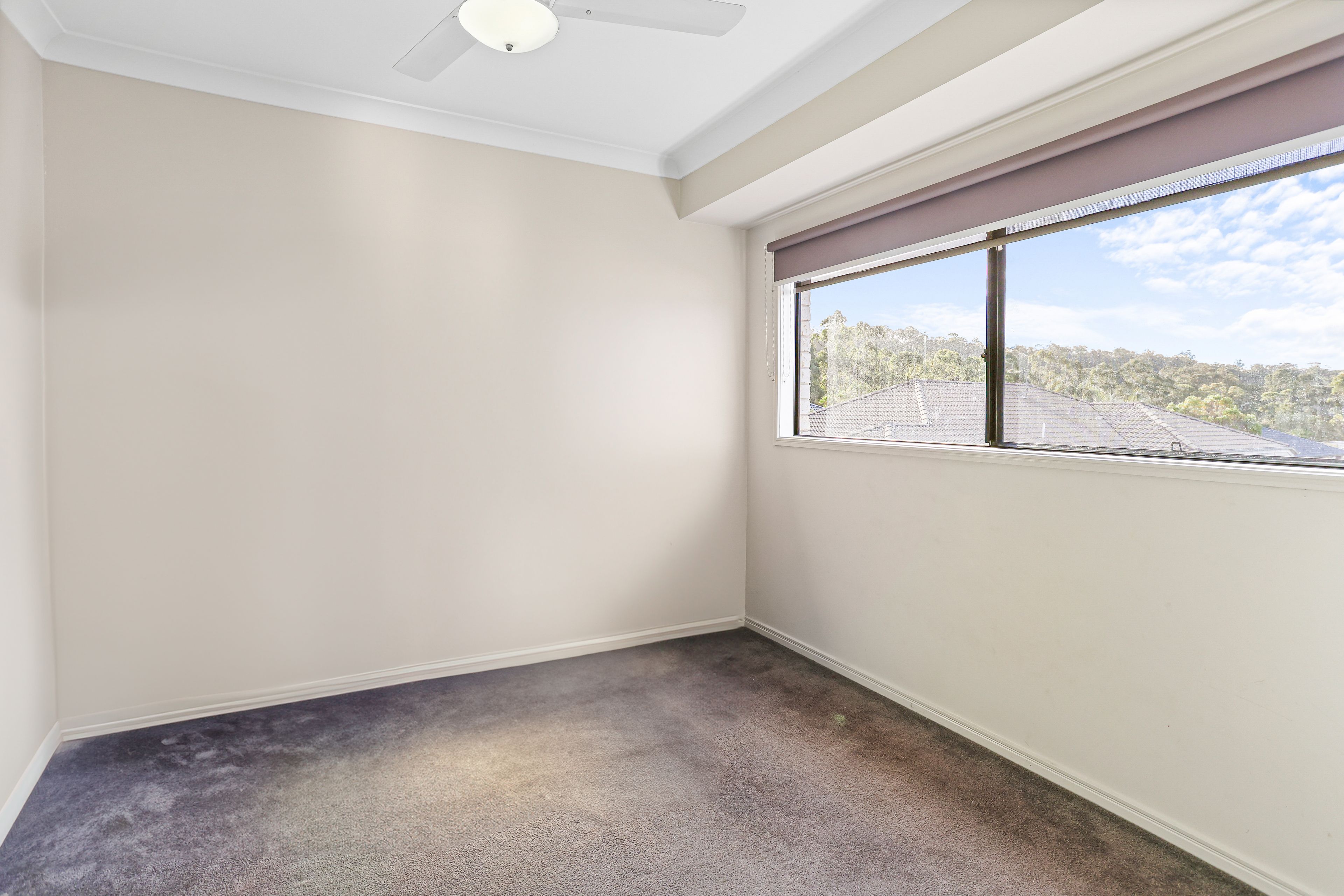 6 Jardine Street — photo 12 of 18