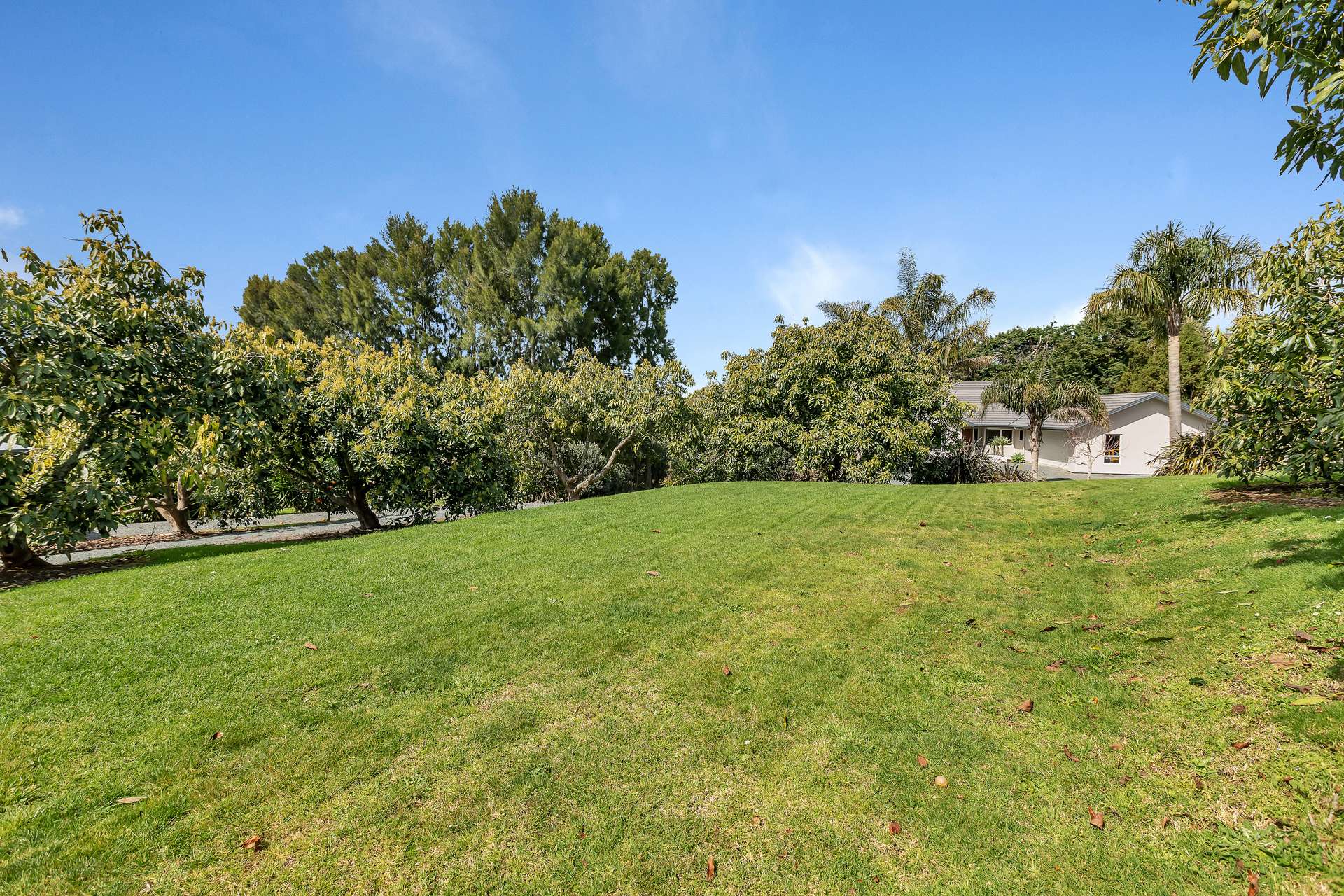 77 Te Kowhai Drive photo 2