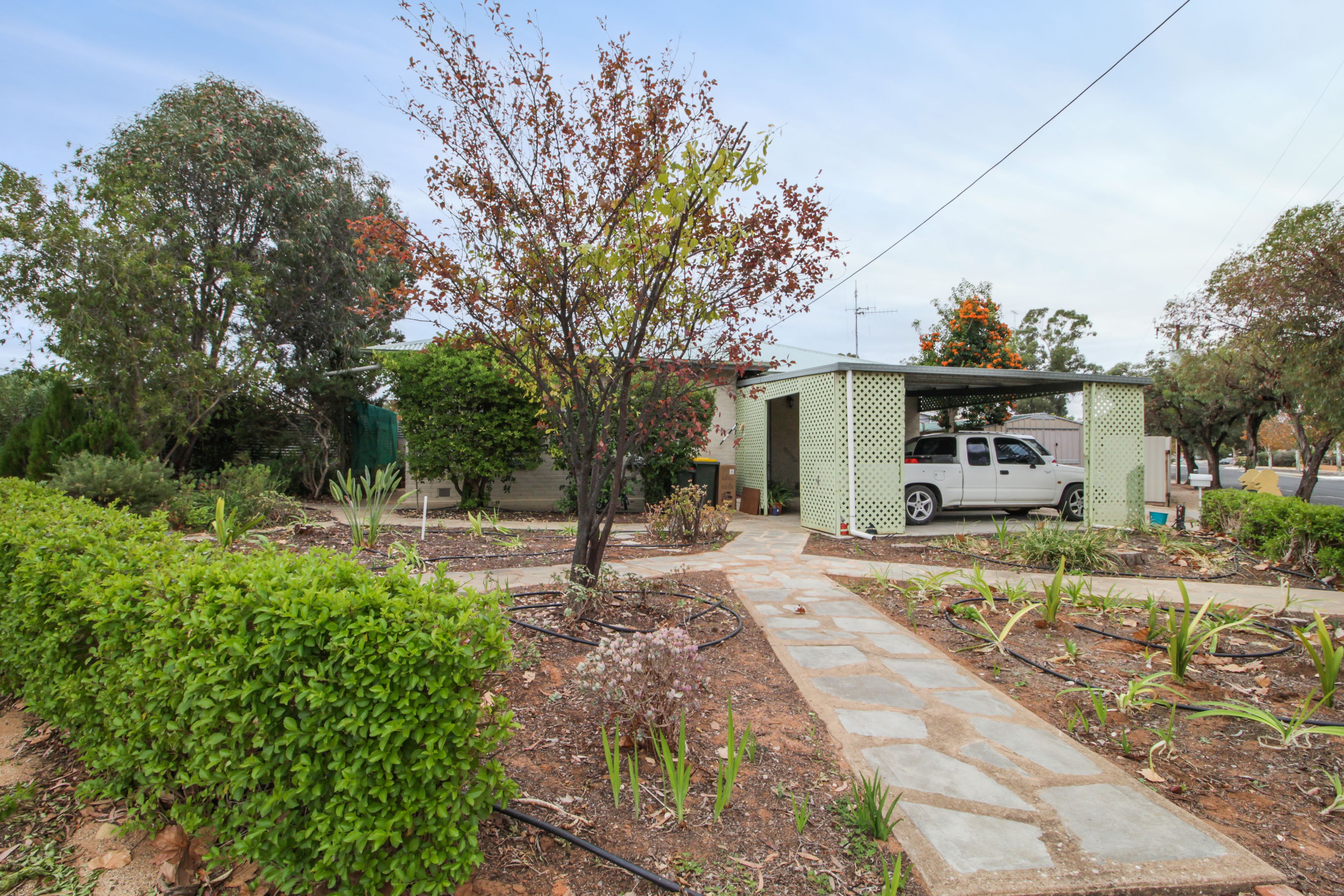 29 Scott Avenue, Barmera SA 5345