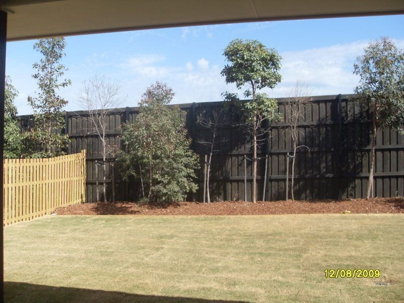 49 Gibbs Street, North Lakes, QLD 4509