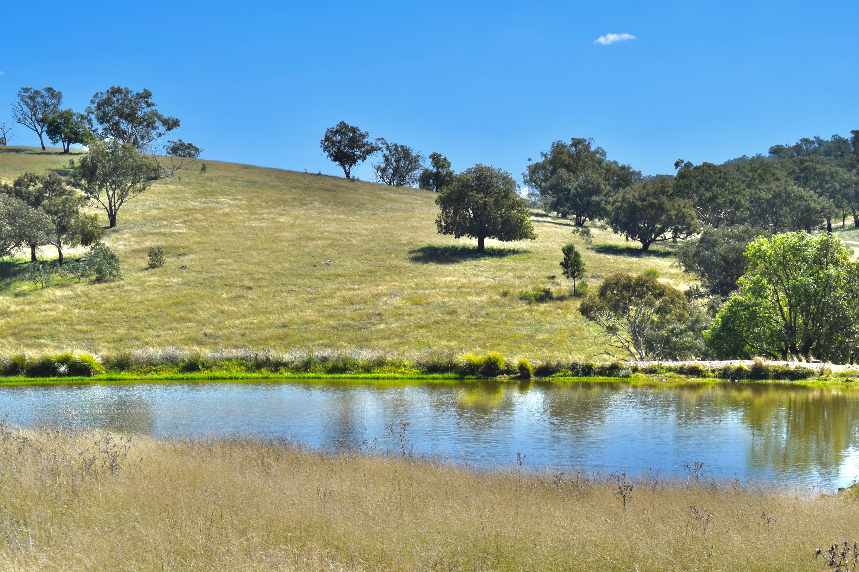 794 Reedy Creek Road 'Oaklands', Mandagery, NSW 2870