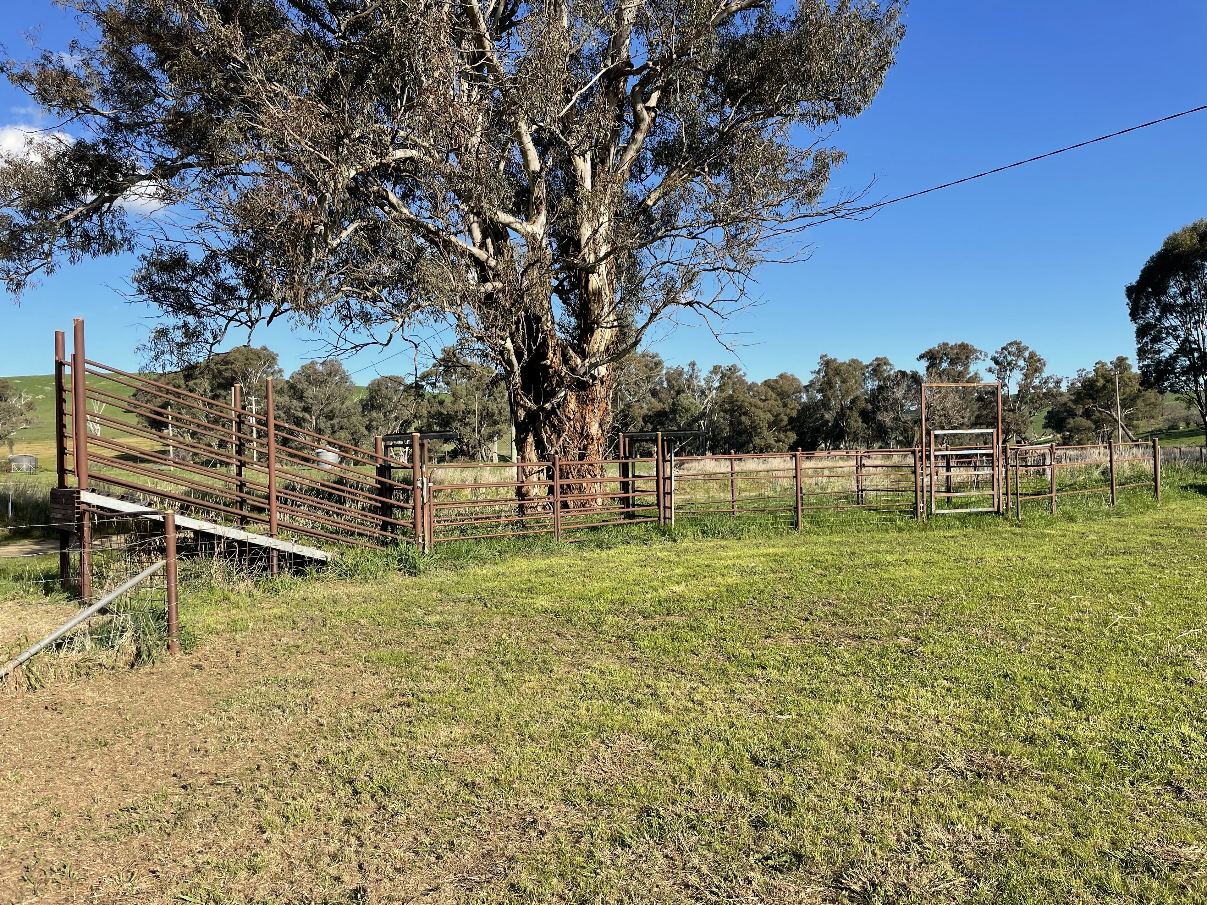 Lot/247 Long Tunnel Road — photo 12 of 20