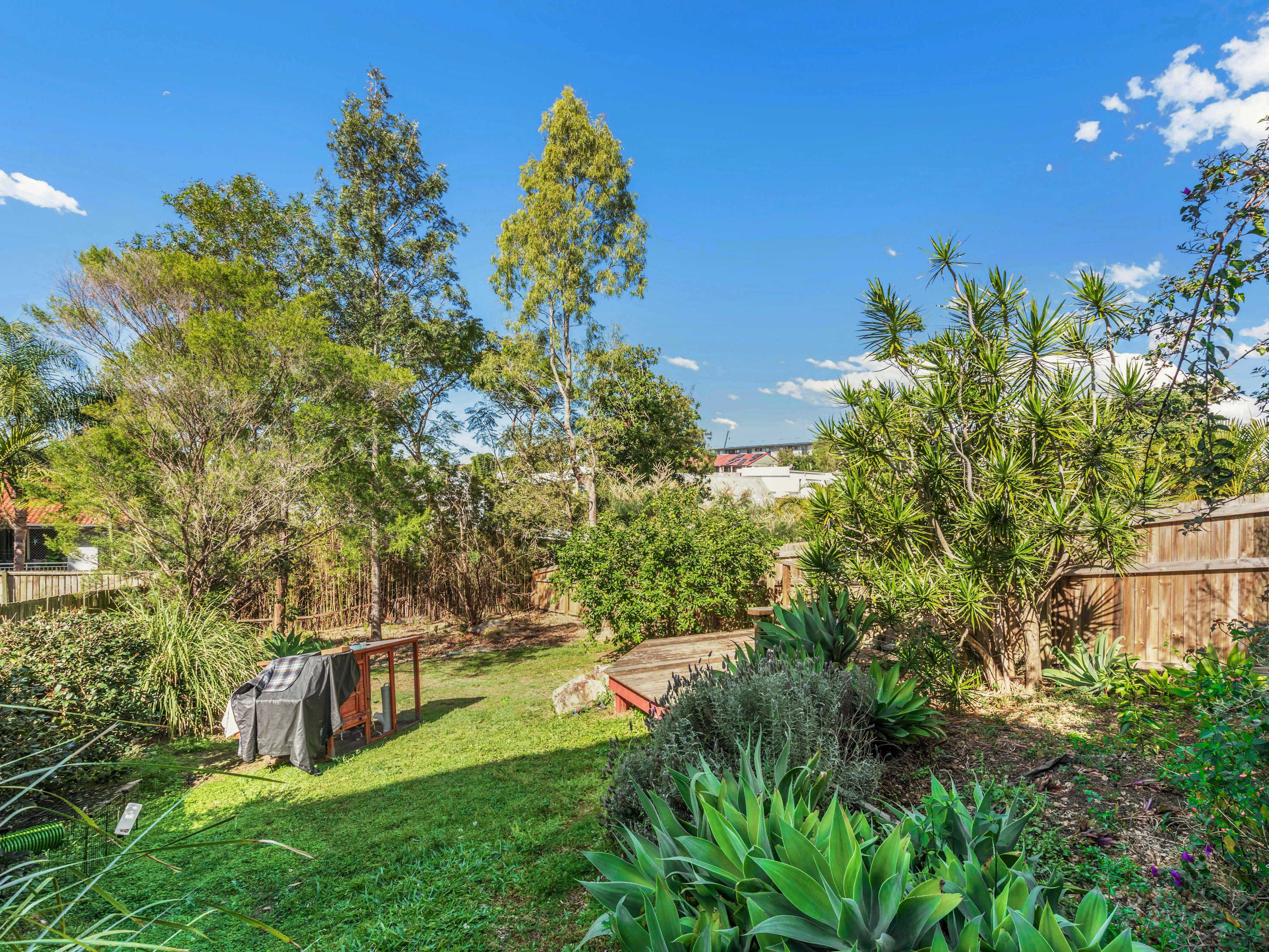 45 Pine Street, Bulimba, QLD 4171