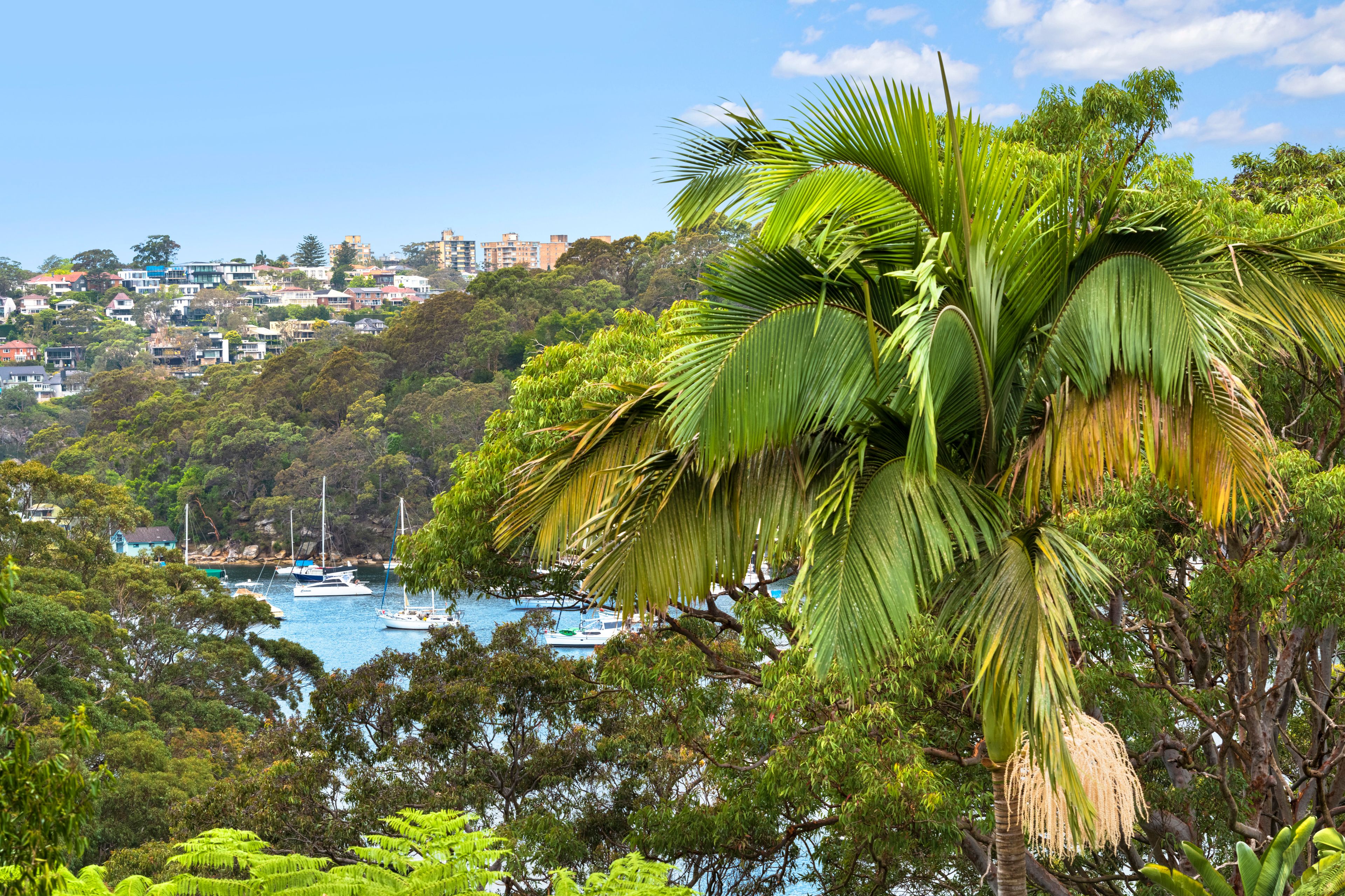 9 The Scarp , Castlecrag NSW 2068