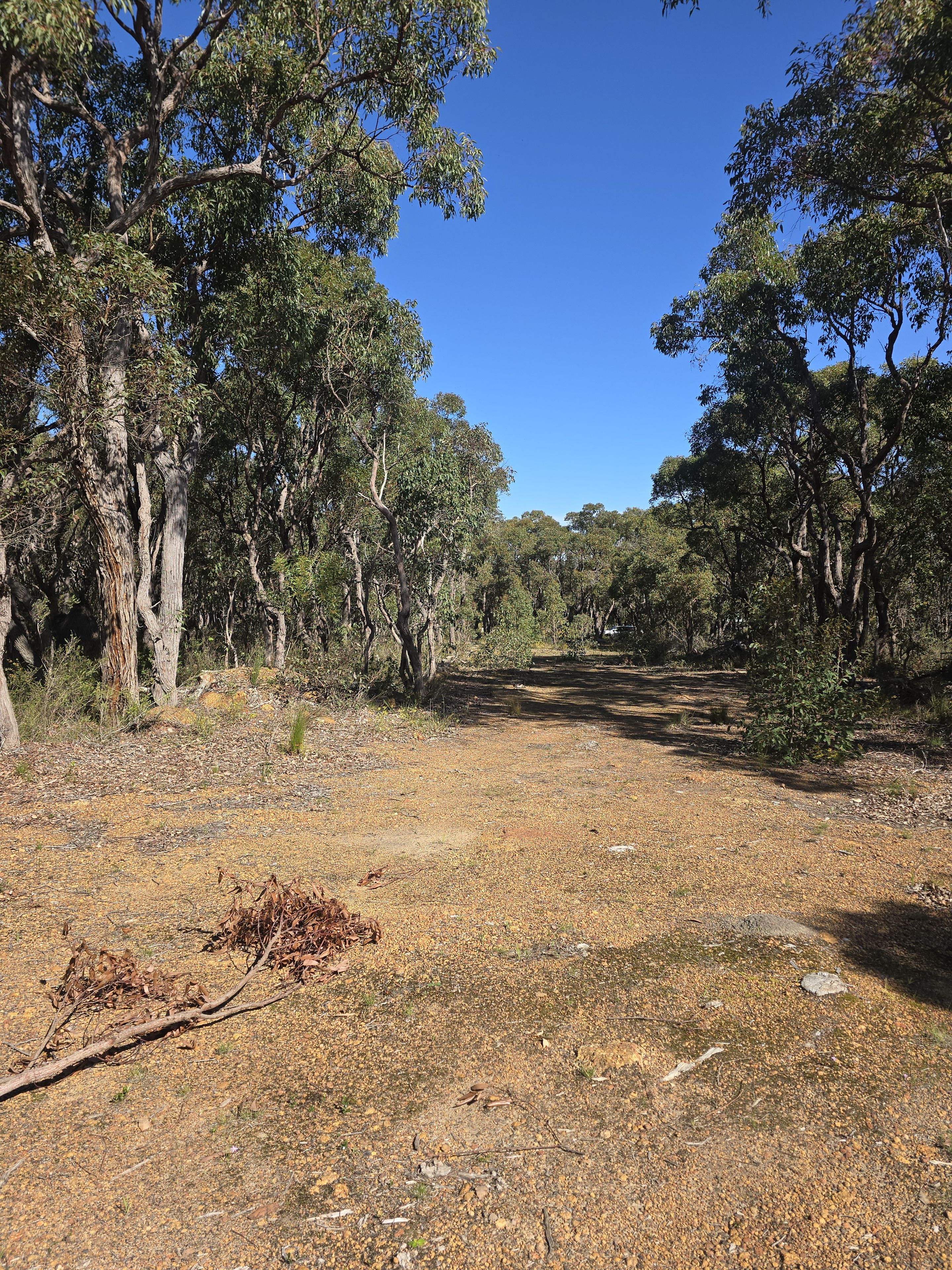 3 Dufty Place — photo 6 of 8