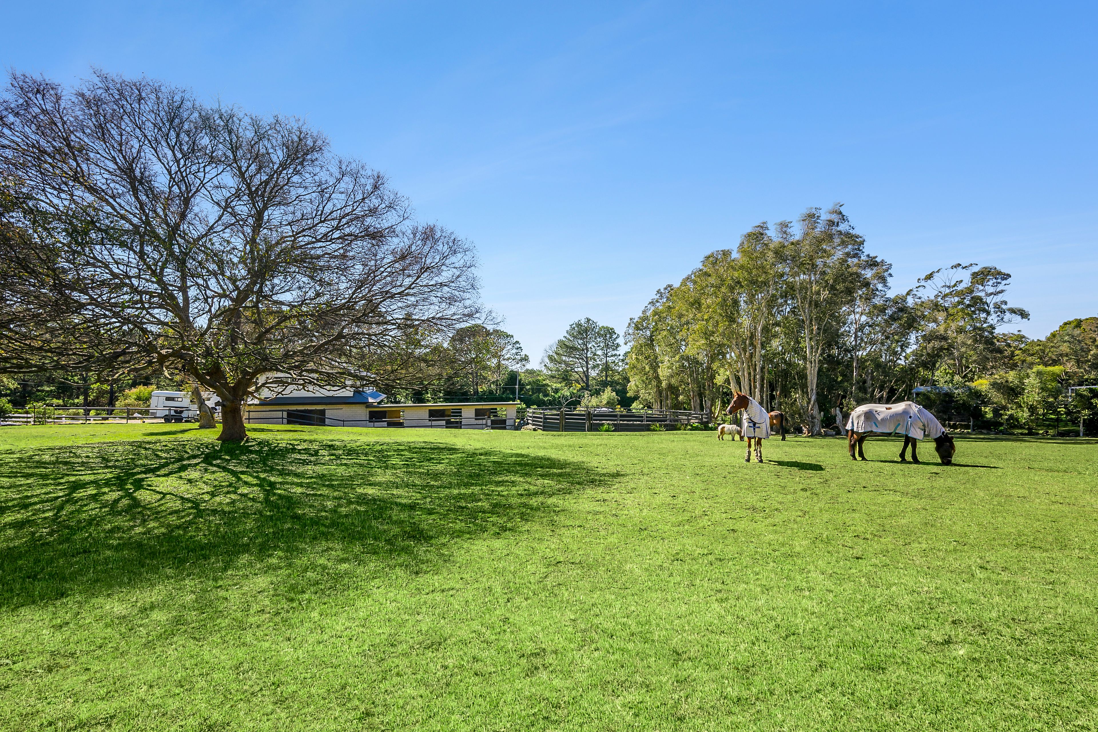 Premium boutique acreage with a homestead and flat, fabulous equine facilities, rolling near-level lawns and a paddock — photo 4 of 18