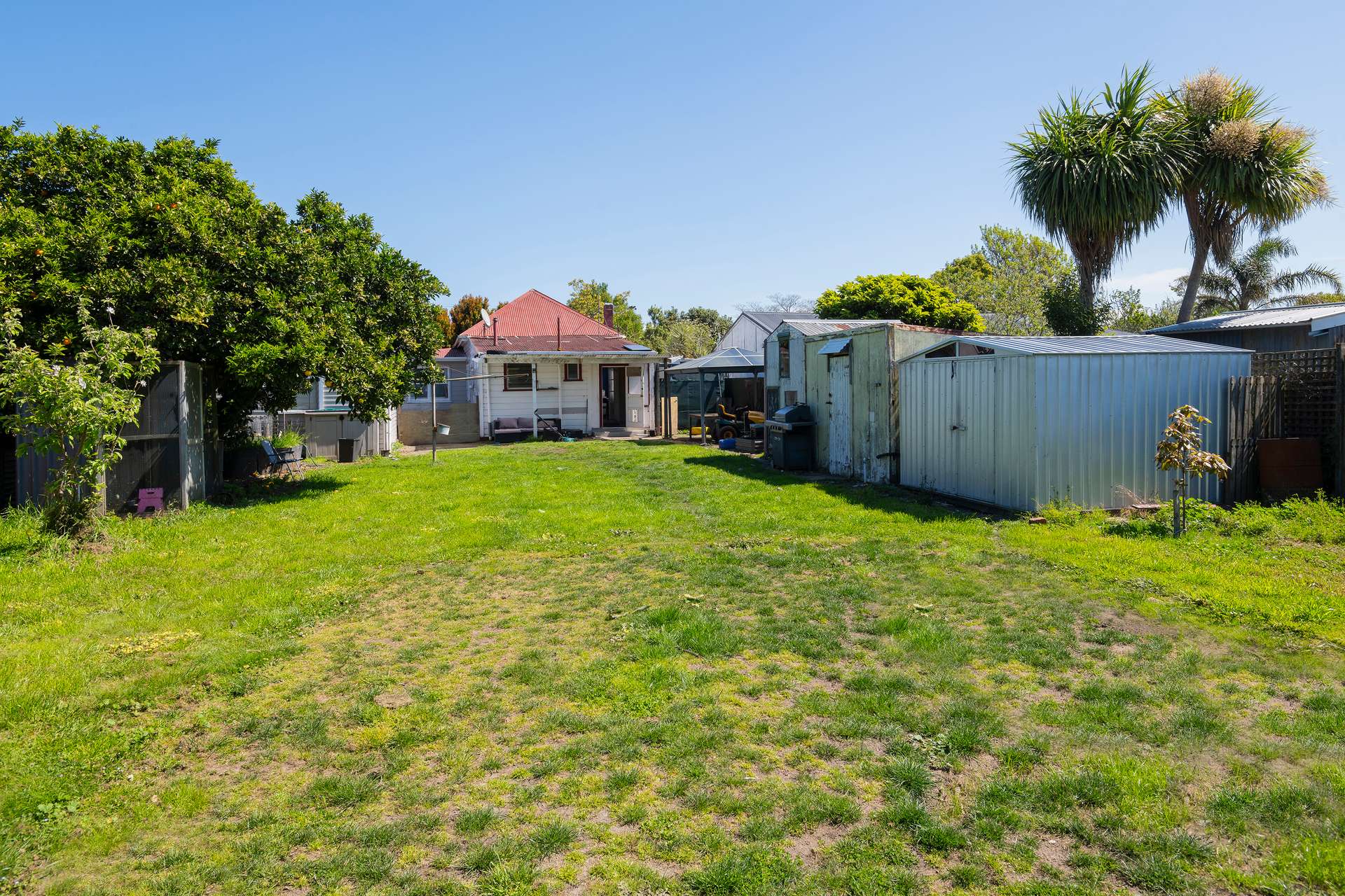 367 Ormond Road photo 13