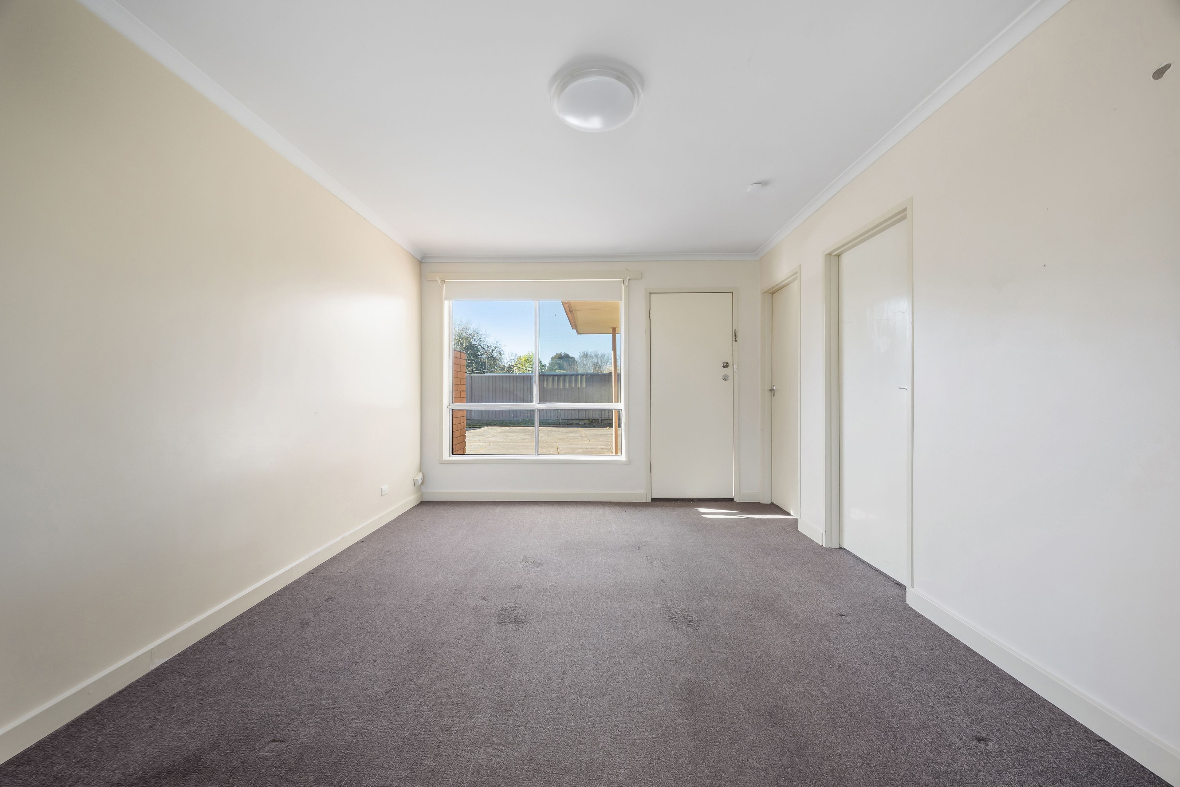 6/613 Ascot Street South — photo 5 of 11