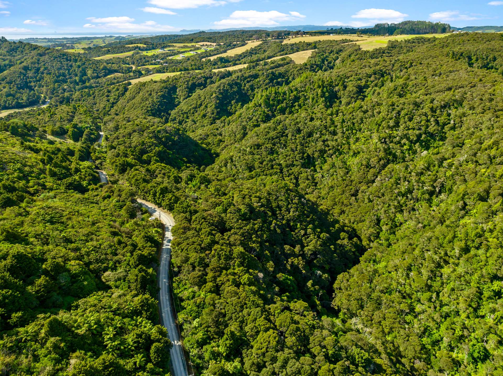 454 Waipu Caves Road photo 3