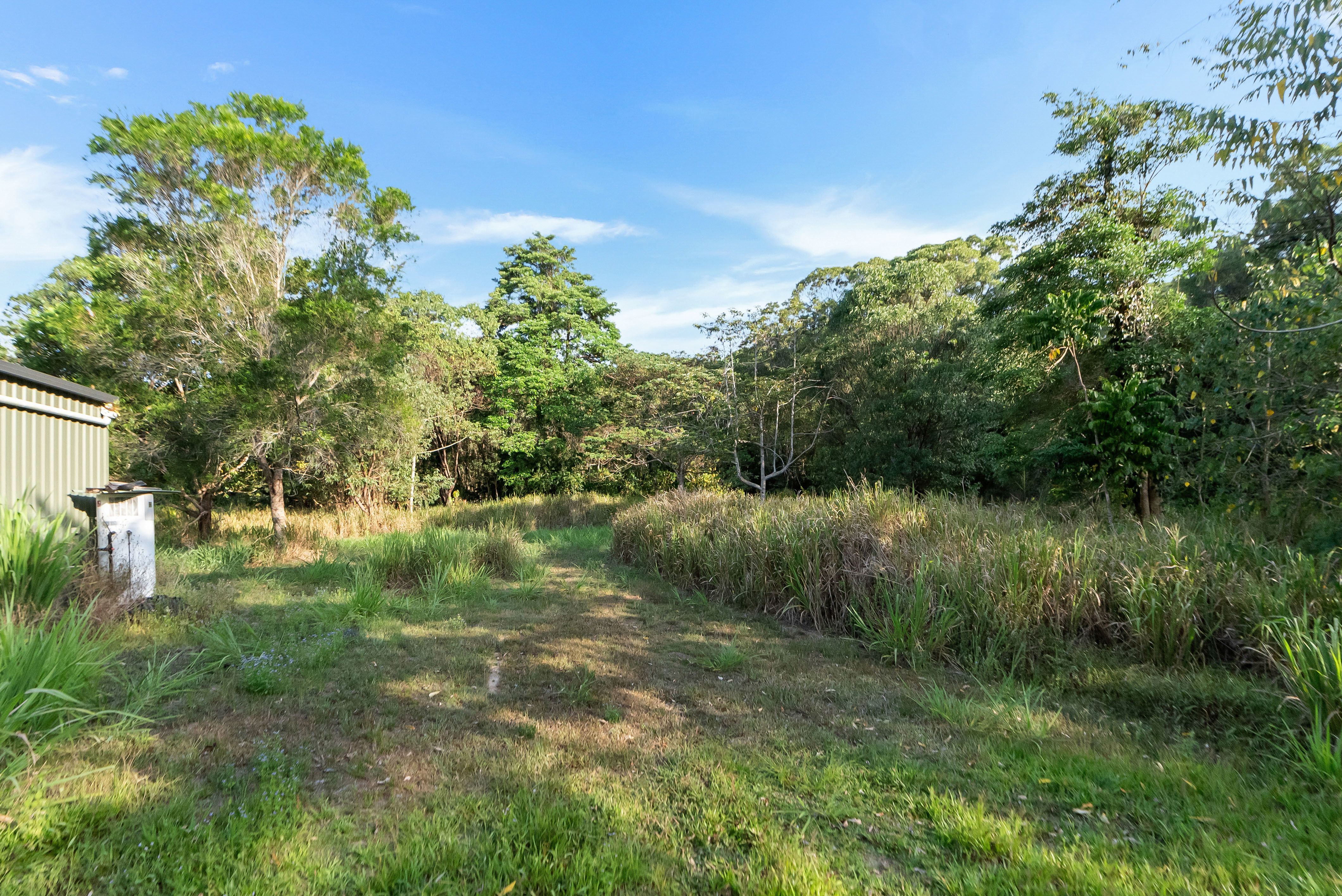 Create Your Idyllic Lifestyle to Include Future Potential Income on 342 acres — photo 23 of 30