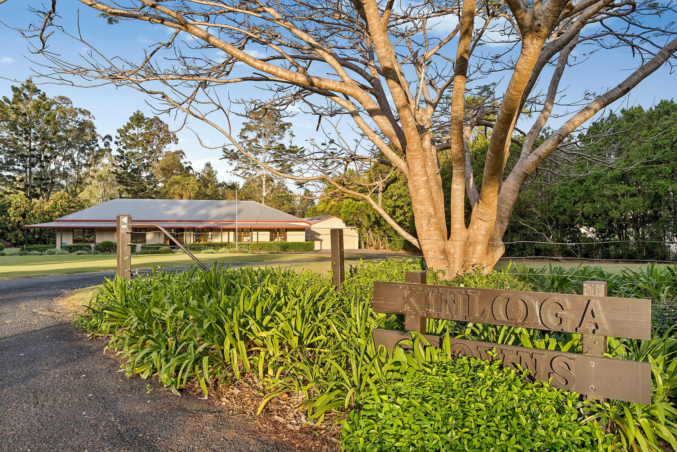 53 Showgrounds Drive, Highvale, QLD 4520