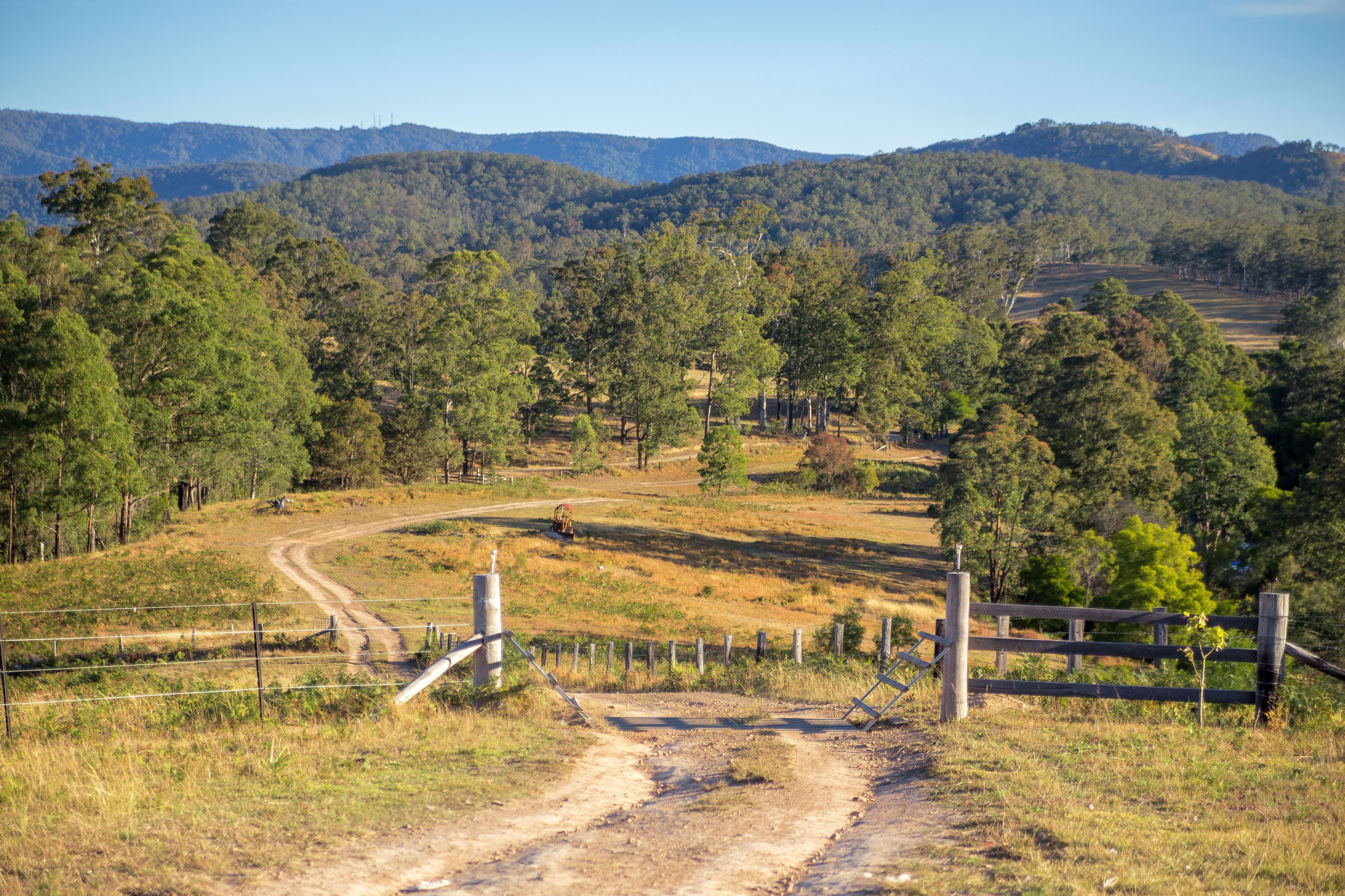 737 Black Flat Lane, Wherrol Flat, NSW 2429