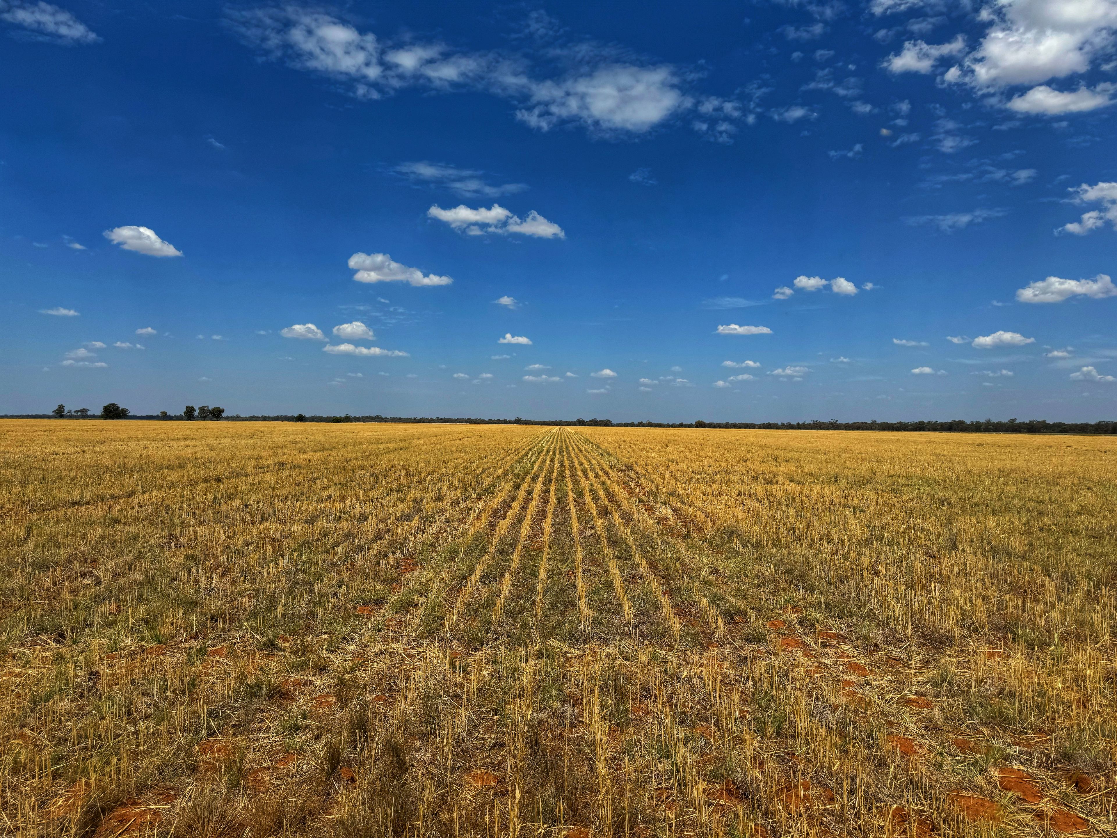 2764 The McGrane Way, Narromine, NSW 2821