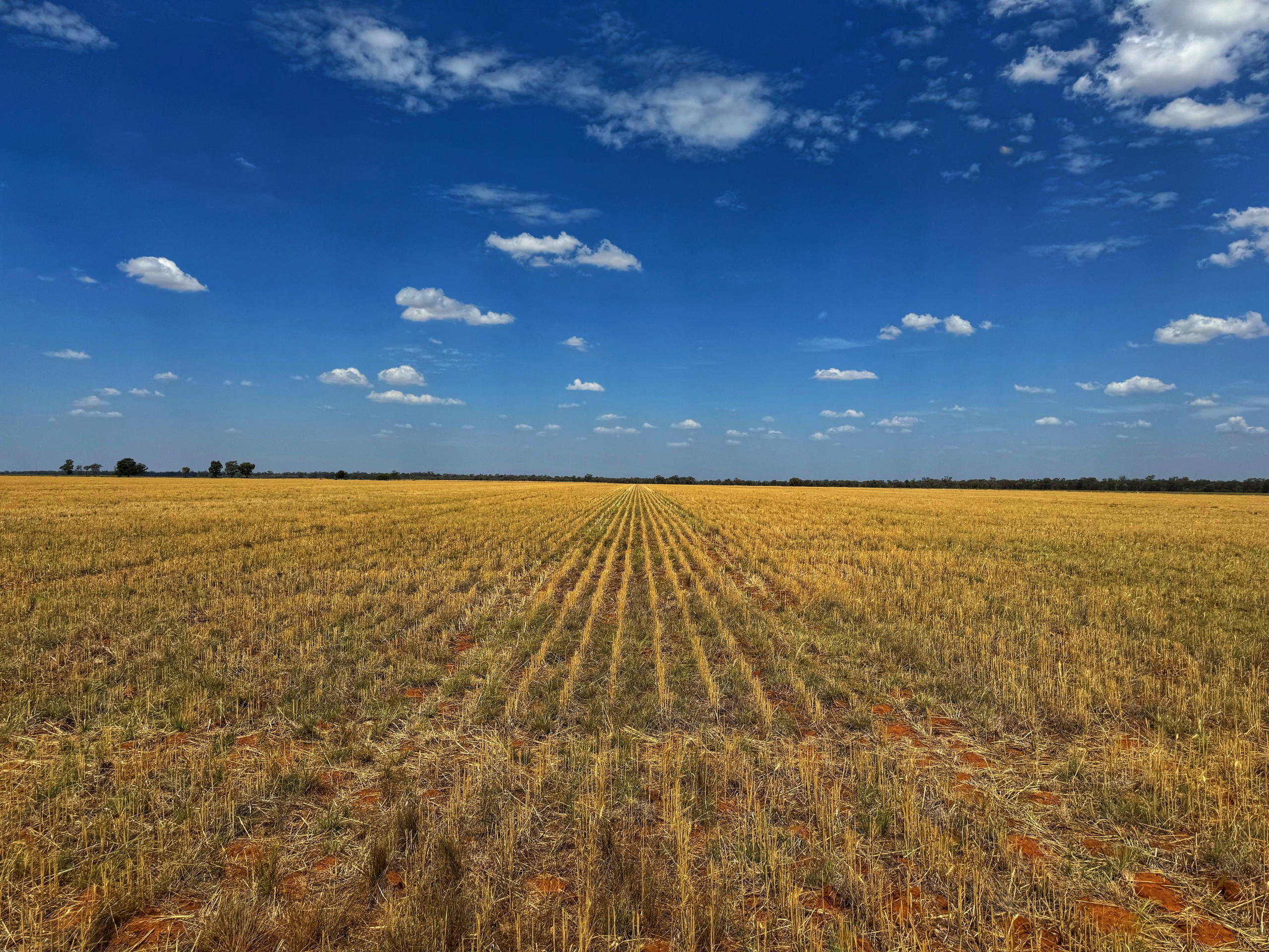 2764 The McGrane Way, Narromine, NSW 2821