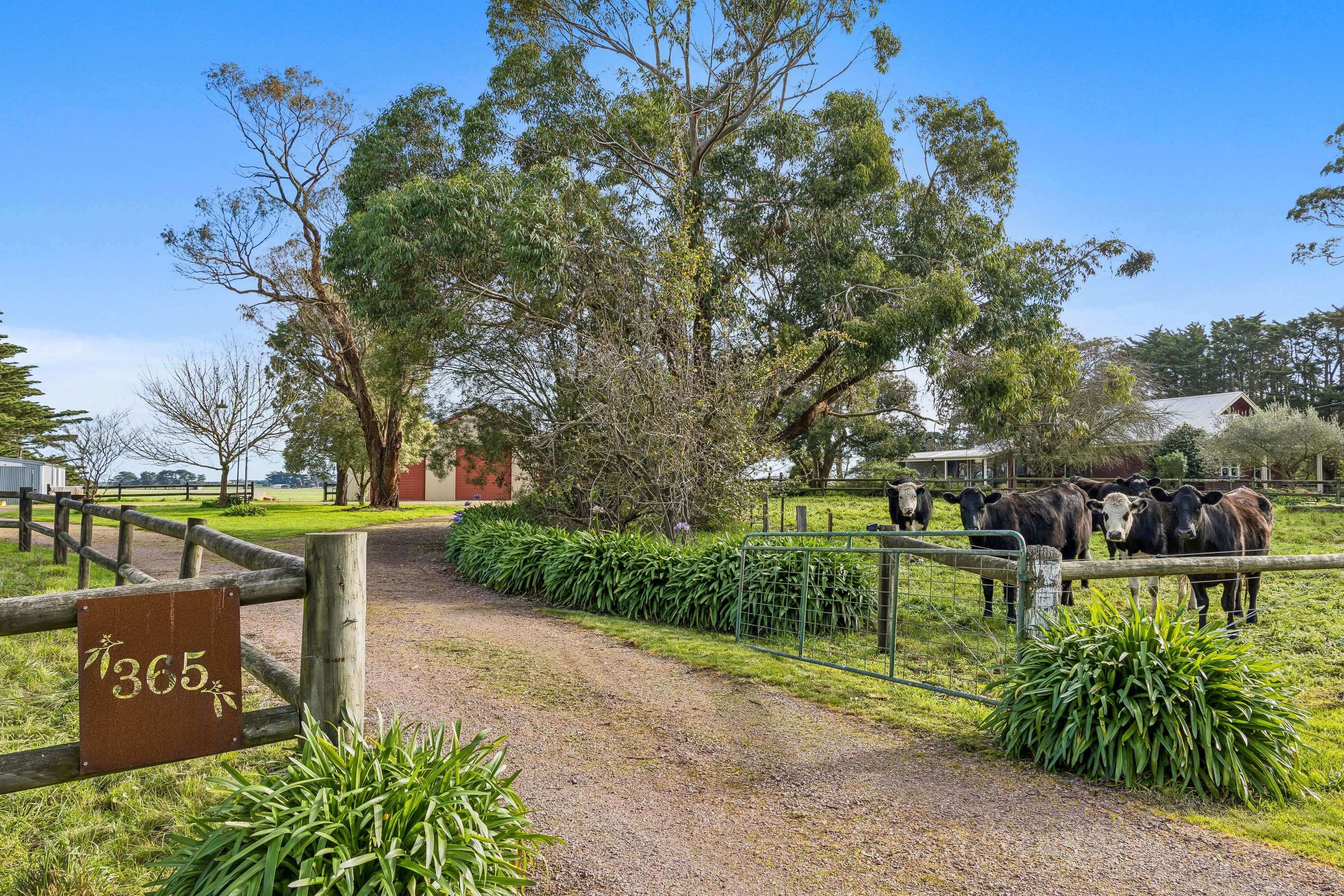 365 Chocolyn Settlement Road, Chocolyn, VIC 3260
