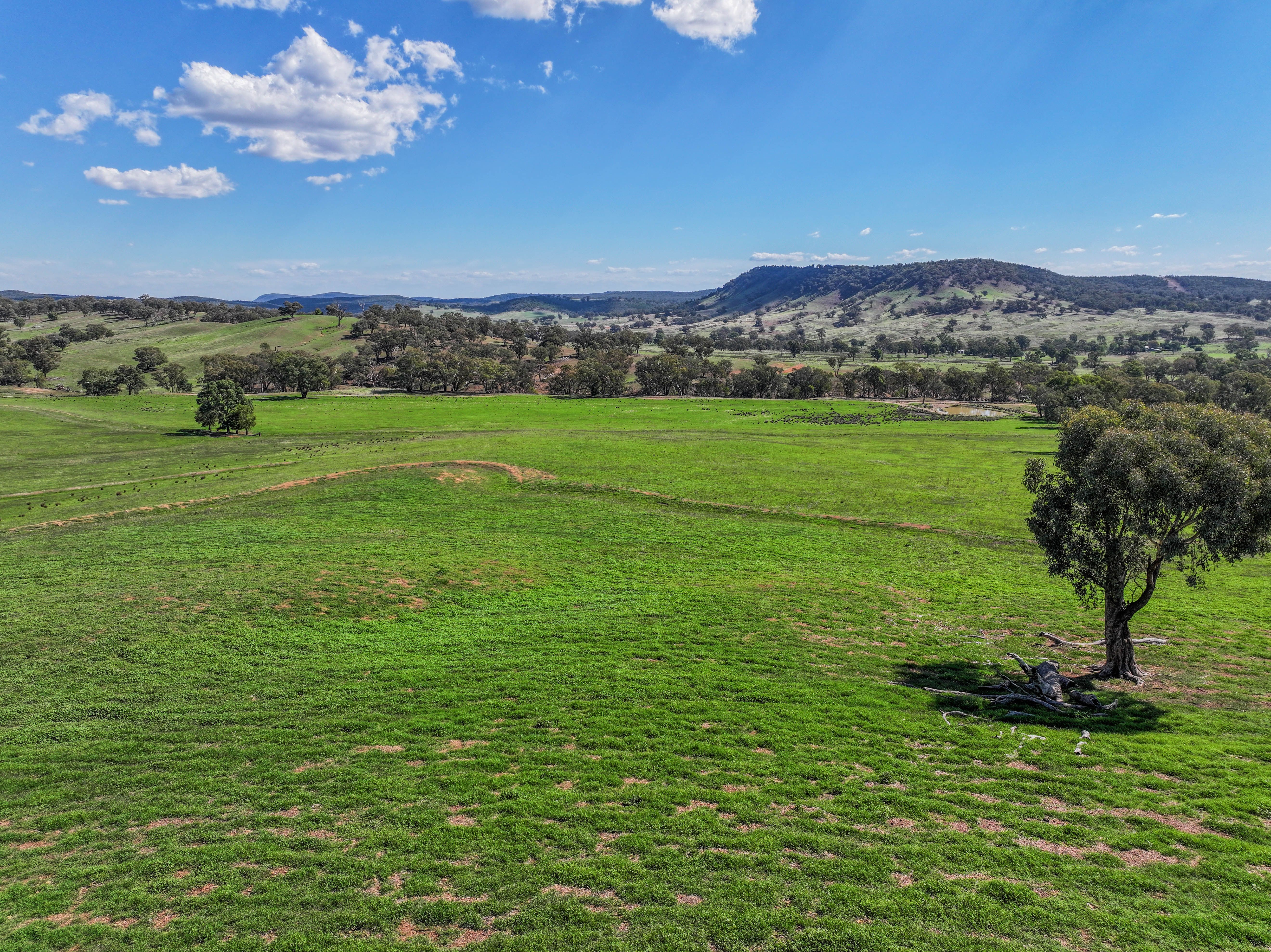 "Moura" Waterhole Creek Road — photo 3 of 30