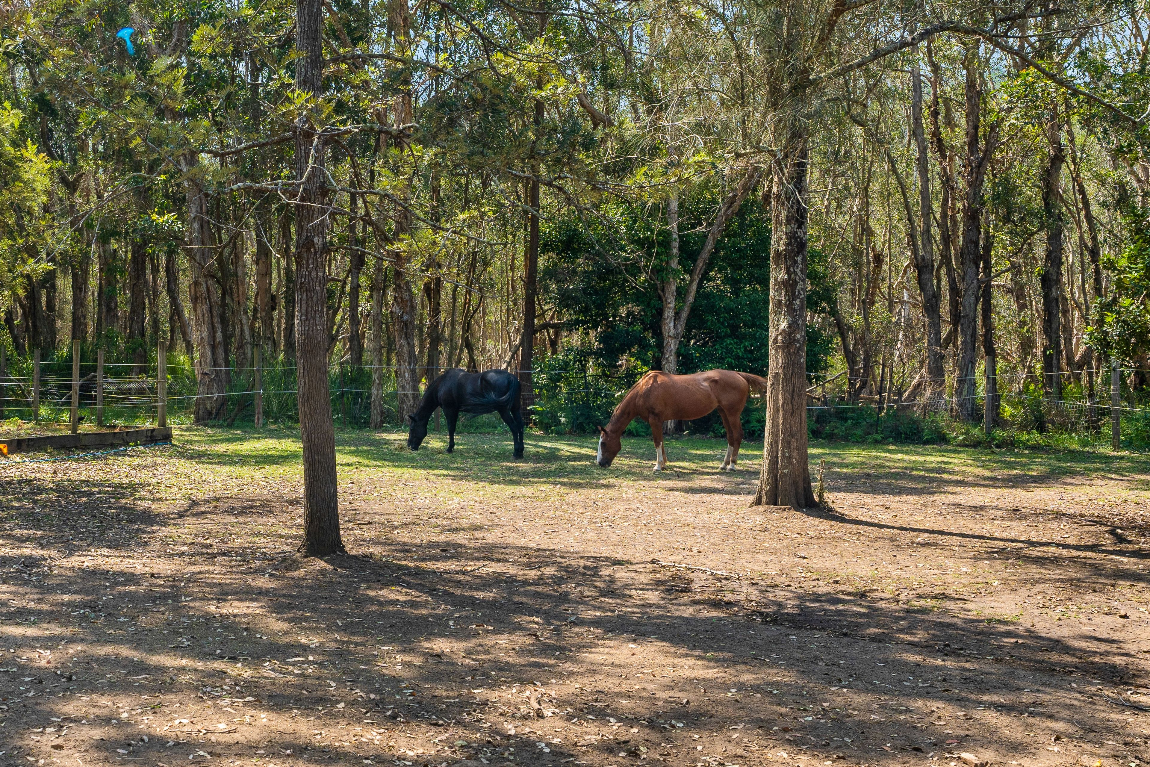 2 Warner Avenue, Tuggerawong, NSW 2259