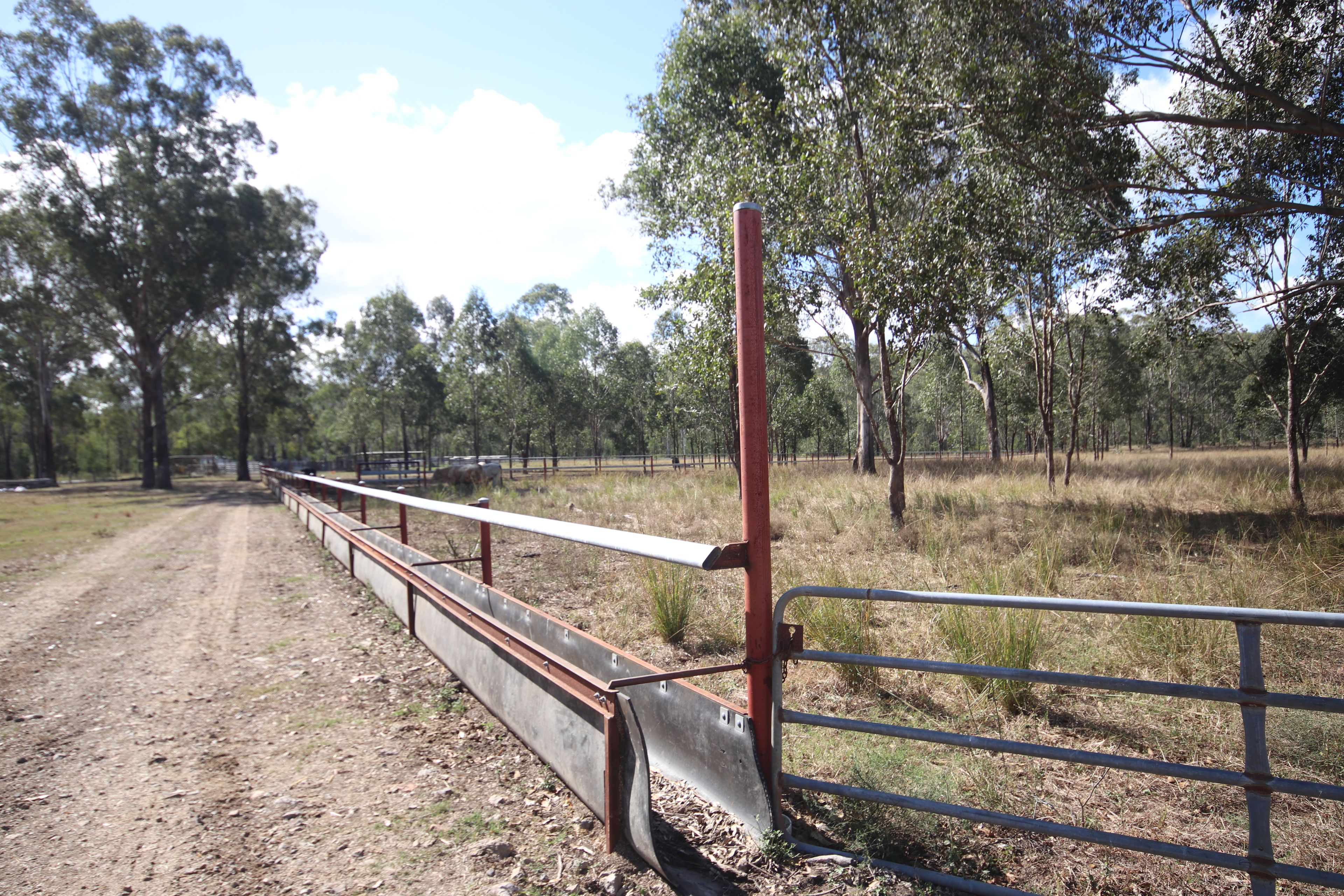 Lot 43 and Lot 50 Kalliwa Road, Mingo — photo 18 of 29