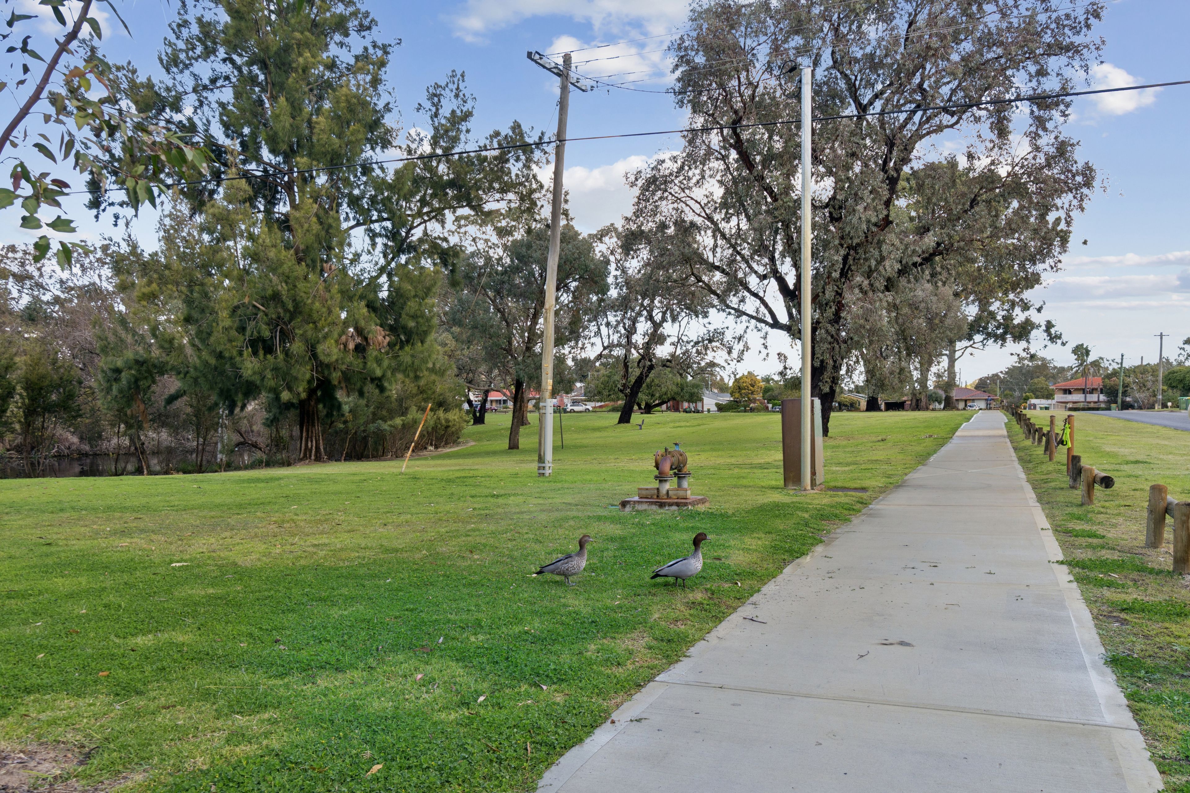 9 Drake Way — photo 11 of 13