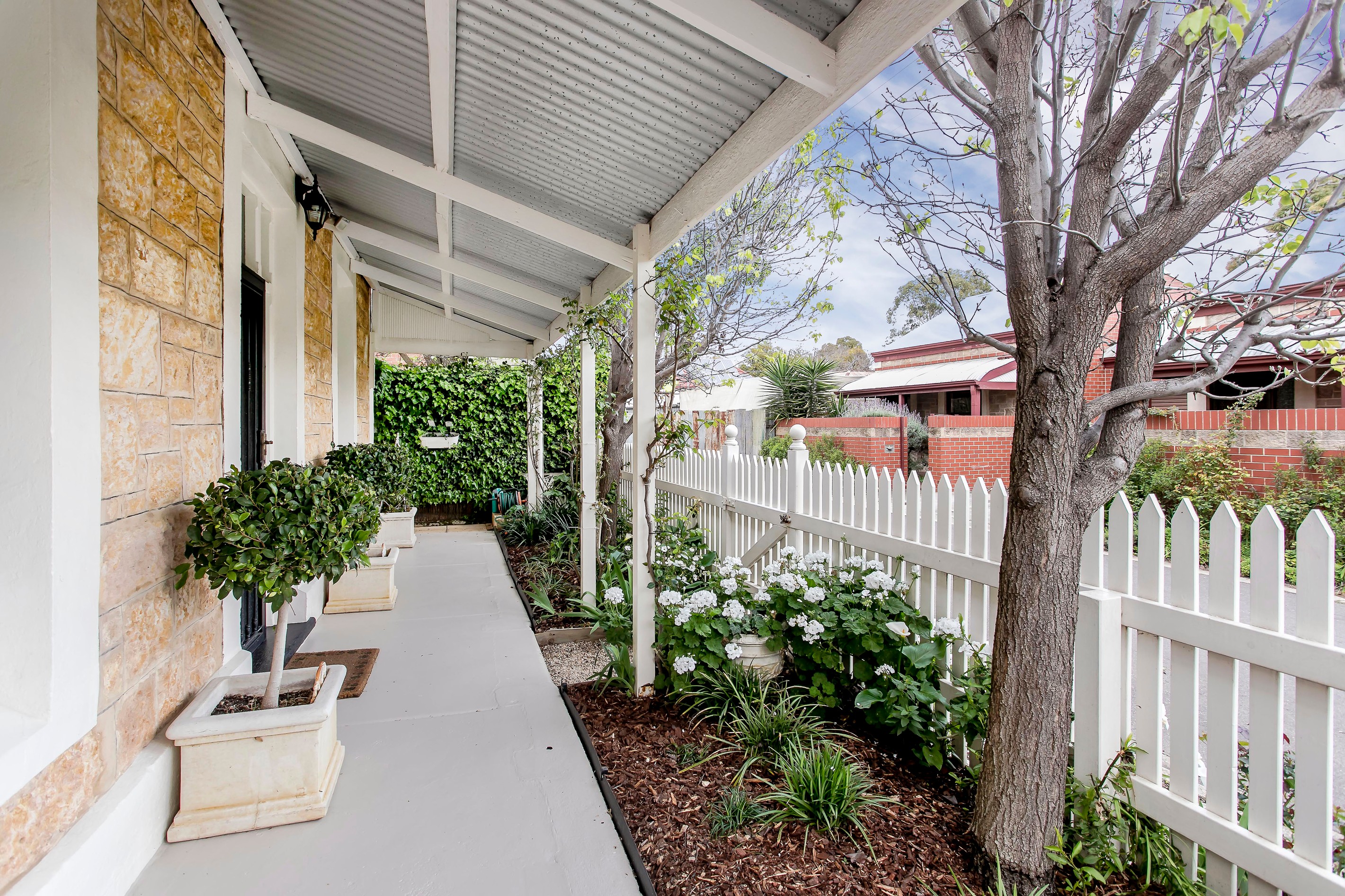 13 Almond Street, Goodwood, SA 5034