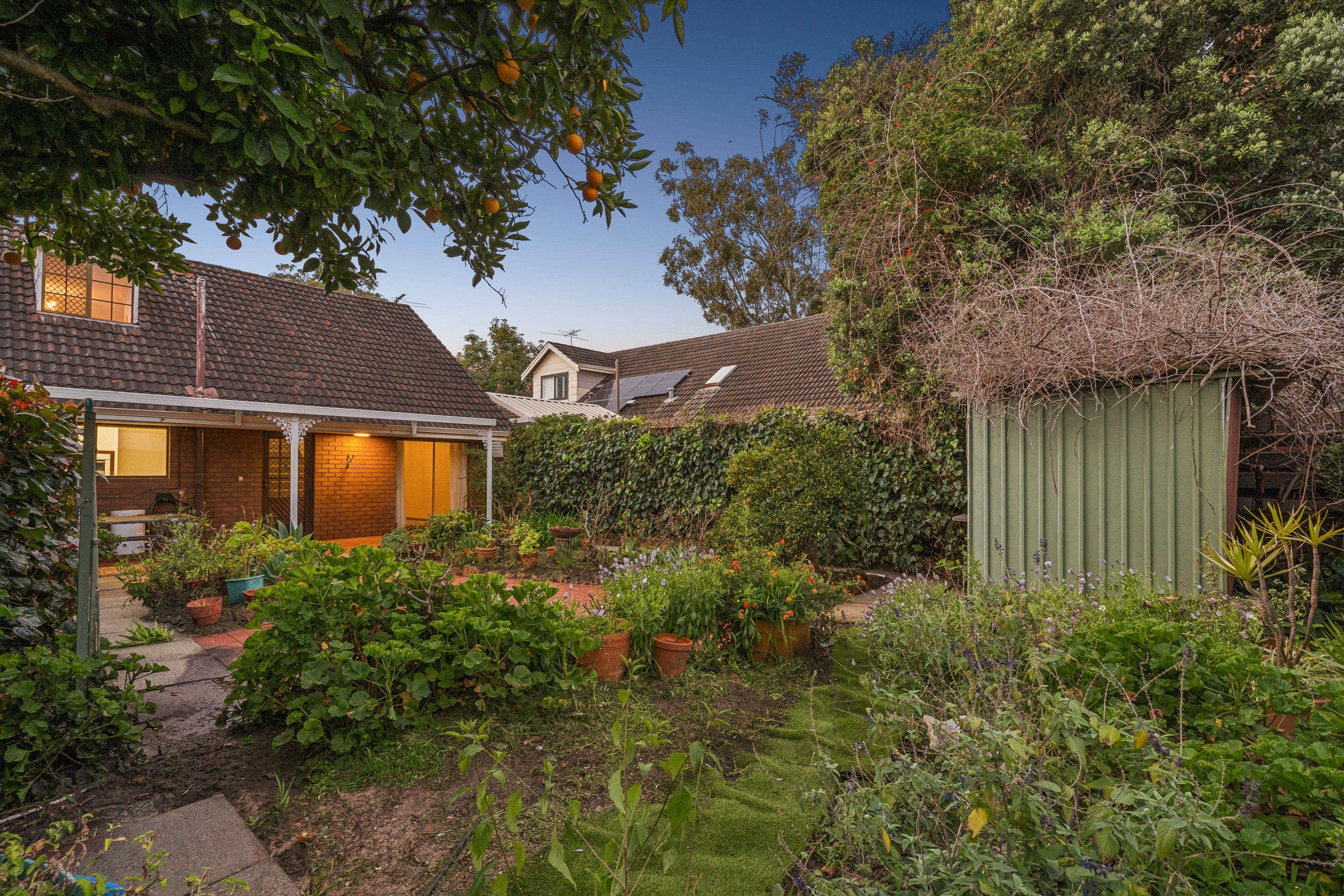 3/8 Shelley Road — photo 23 of 30