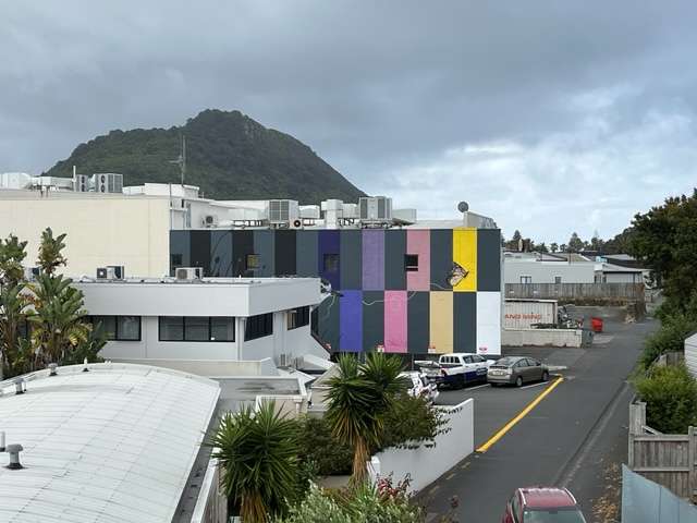 210/277 Maunganui Road photo 10