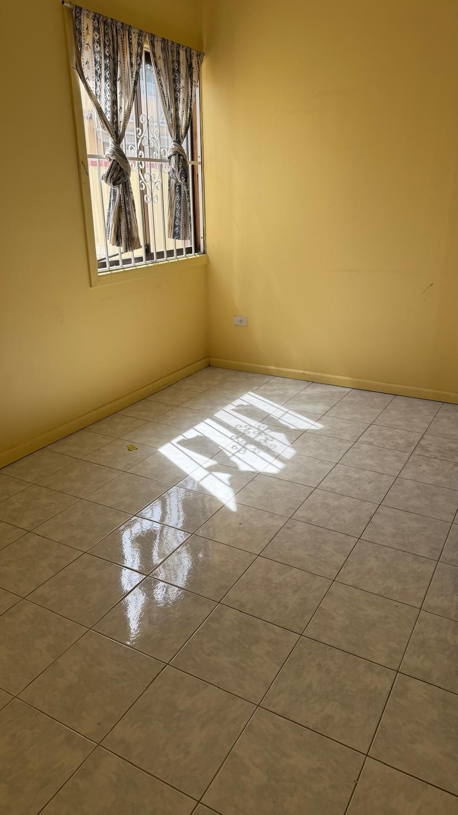 106a Cambridge Street, Canley Heights, NSW 2166