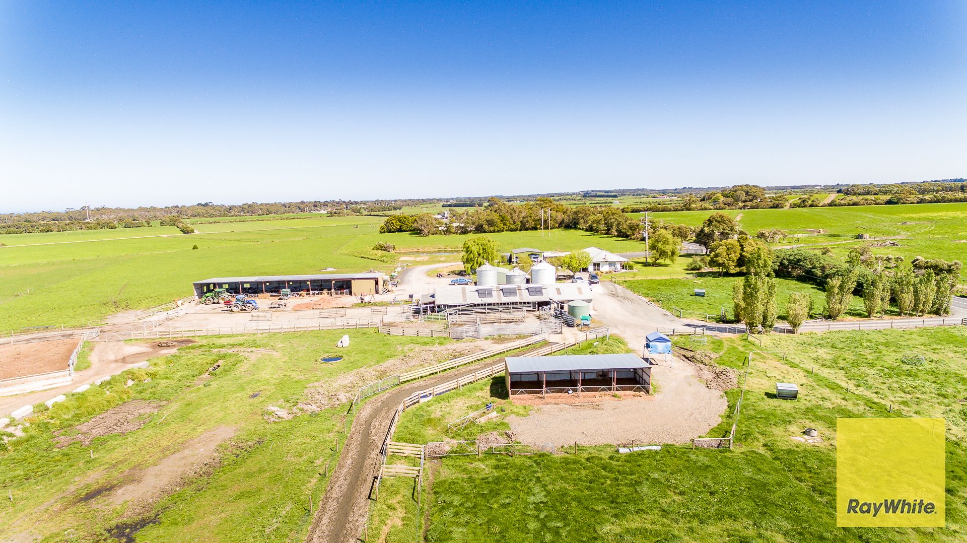 Outstanding Dairy Opportunity — photo 6 of 30