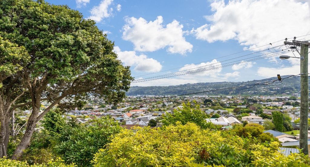 30 Woodvale Grove, Fairfield, Lower Hutt City