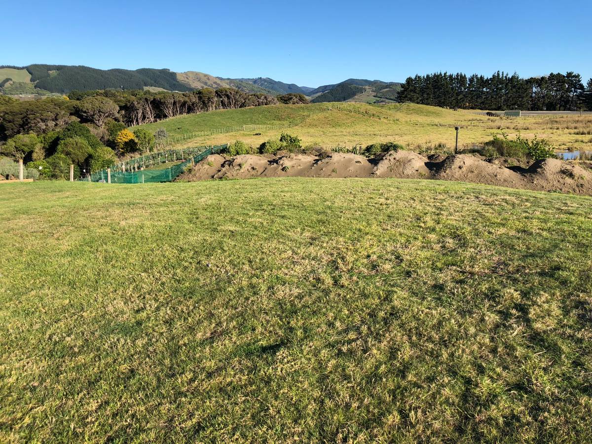 32 Ferndale Drive, Waikanae, Kapiti Coast District Real Estate Ray