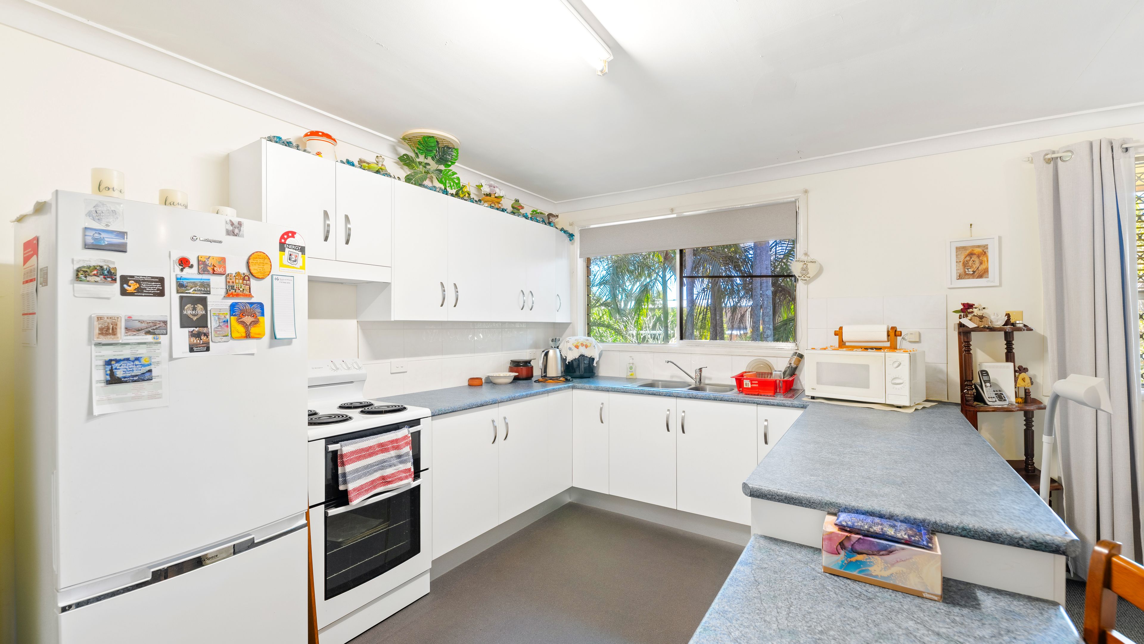 2/293 Hoof Street, Grafton, NSW 2460