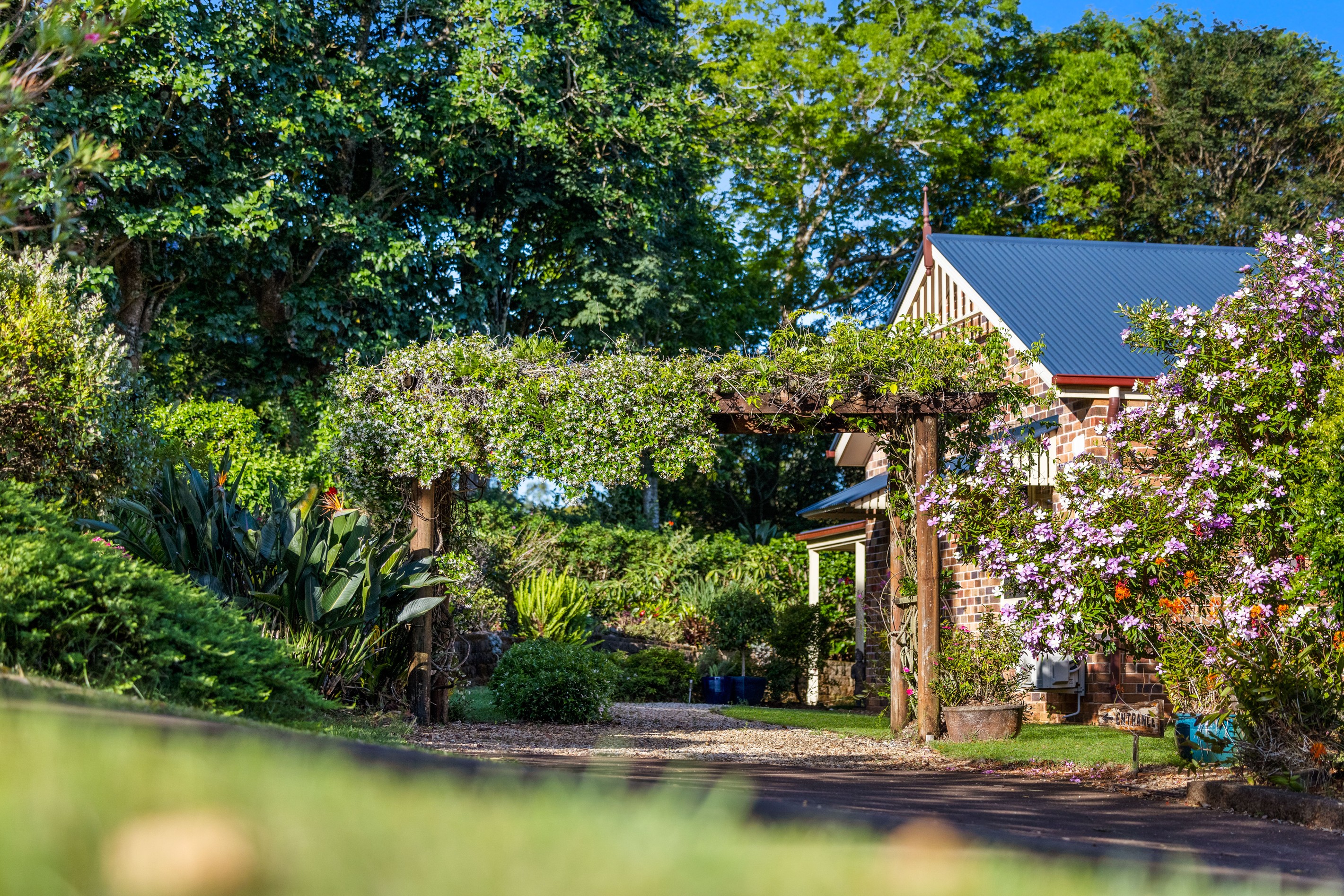 19 Akala Street, Flaxton, QLD 4560