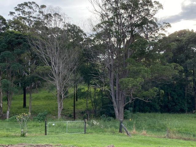 10 Creekline Crescent, Tallwoods Village, NSW 2430