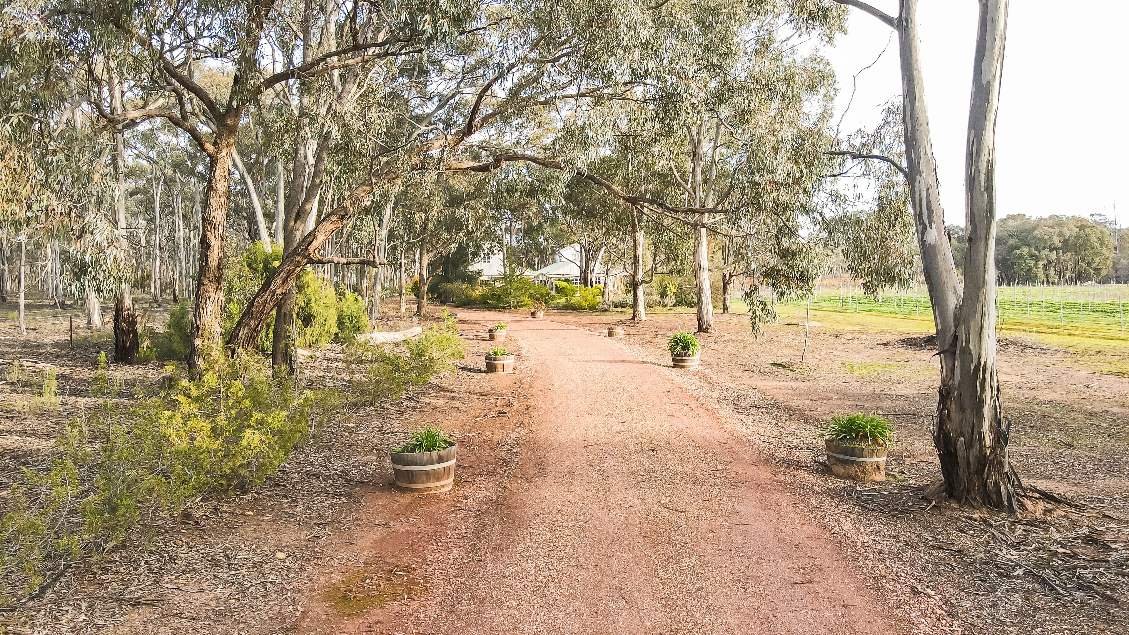 150 Yankee Creek Road, Wellsford, VIC 3551 Sold House Ray White Bendigo