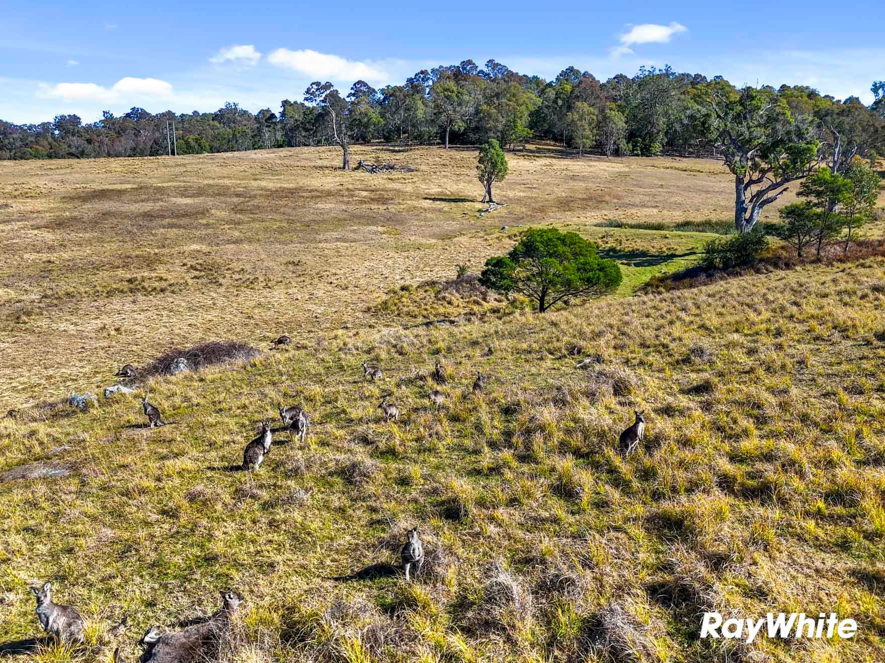 Lot 6 Turnbulls Lane — photo 15 of 16